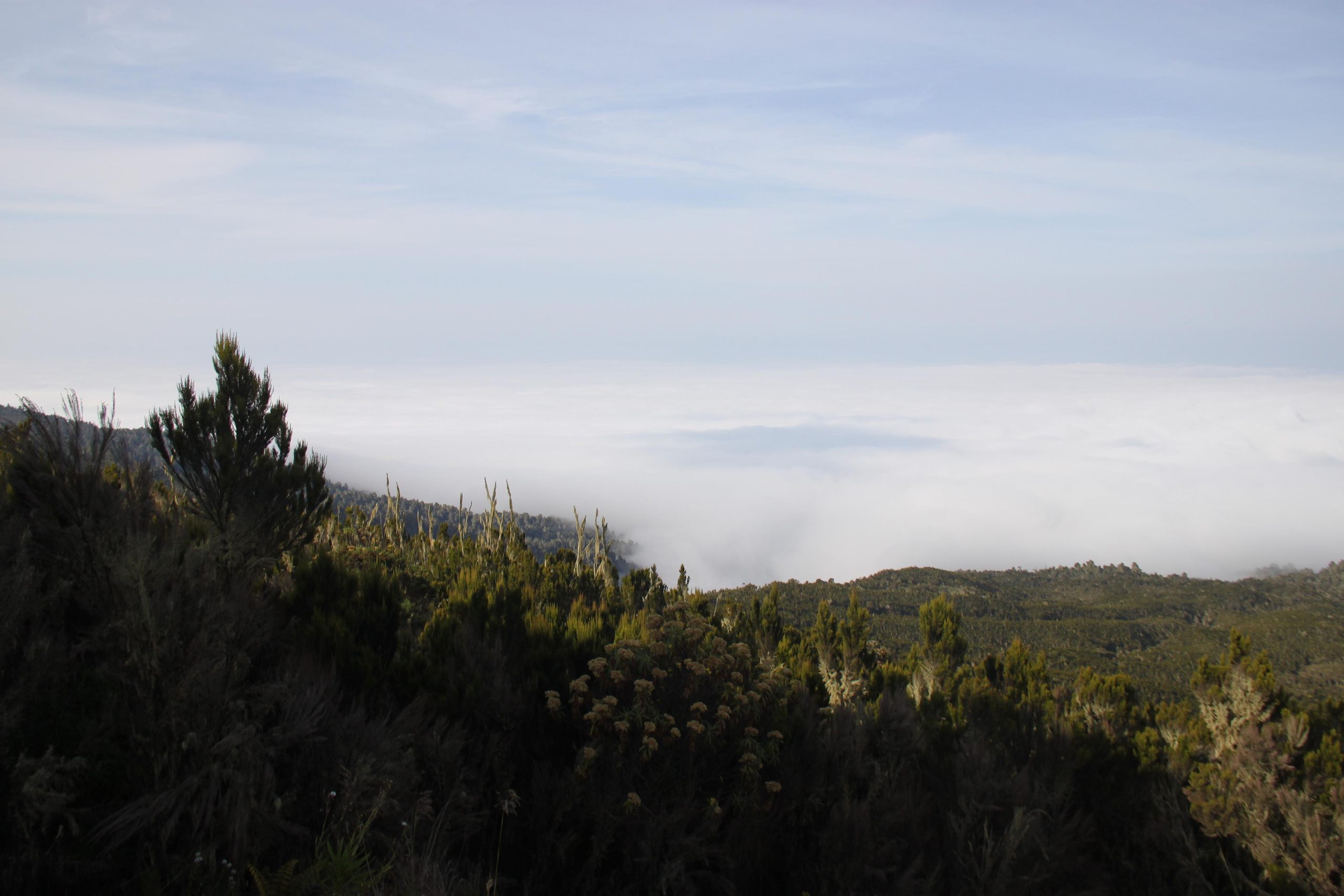 Mount Kilimanjaro. Andrey Filippov Photographer