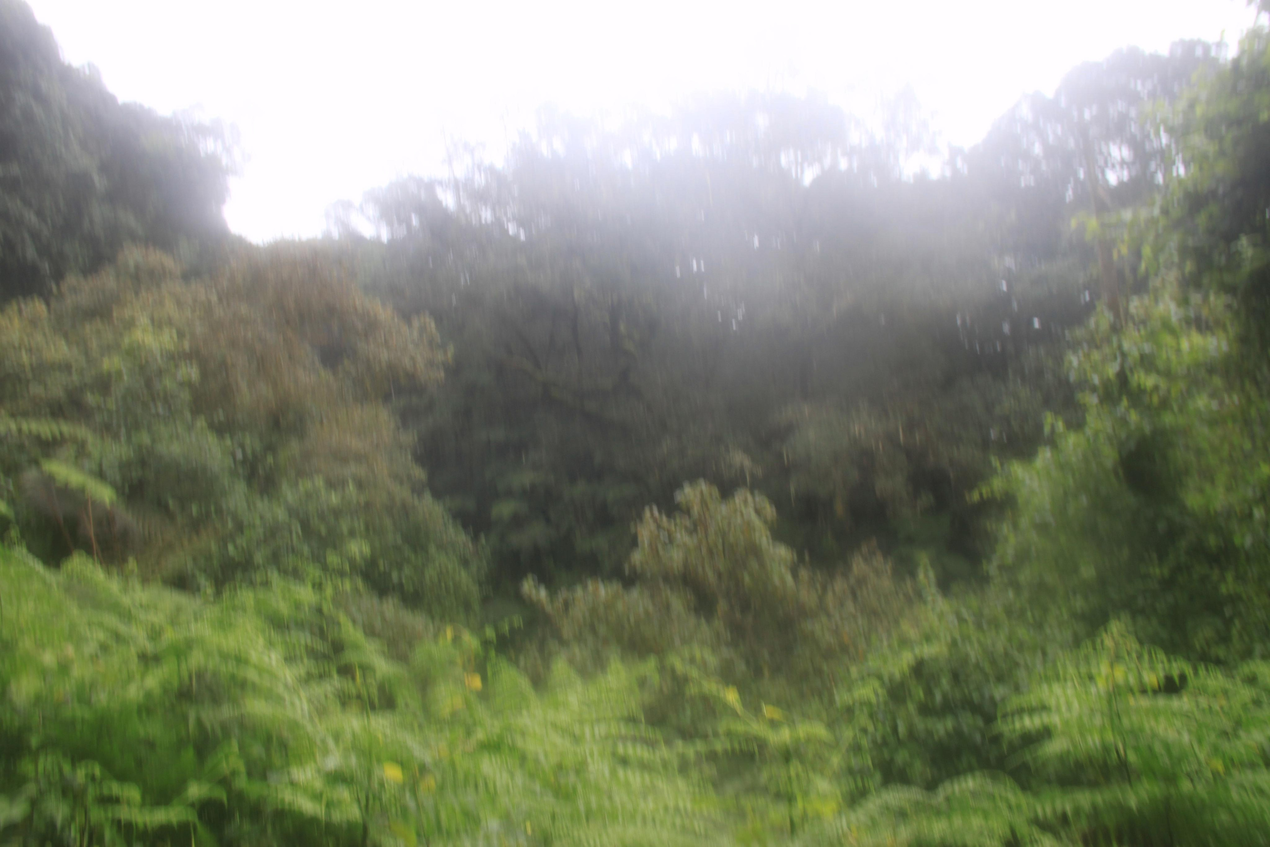 Mount Kilimanjaro. Andrey Filippov Photographer