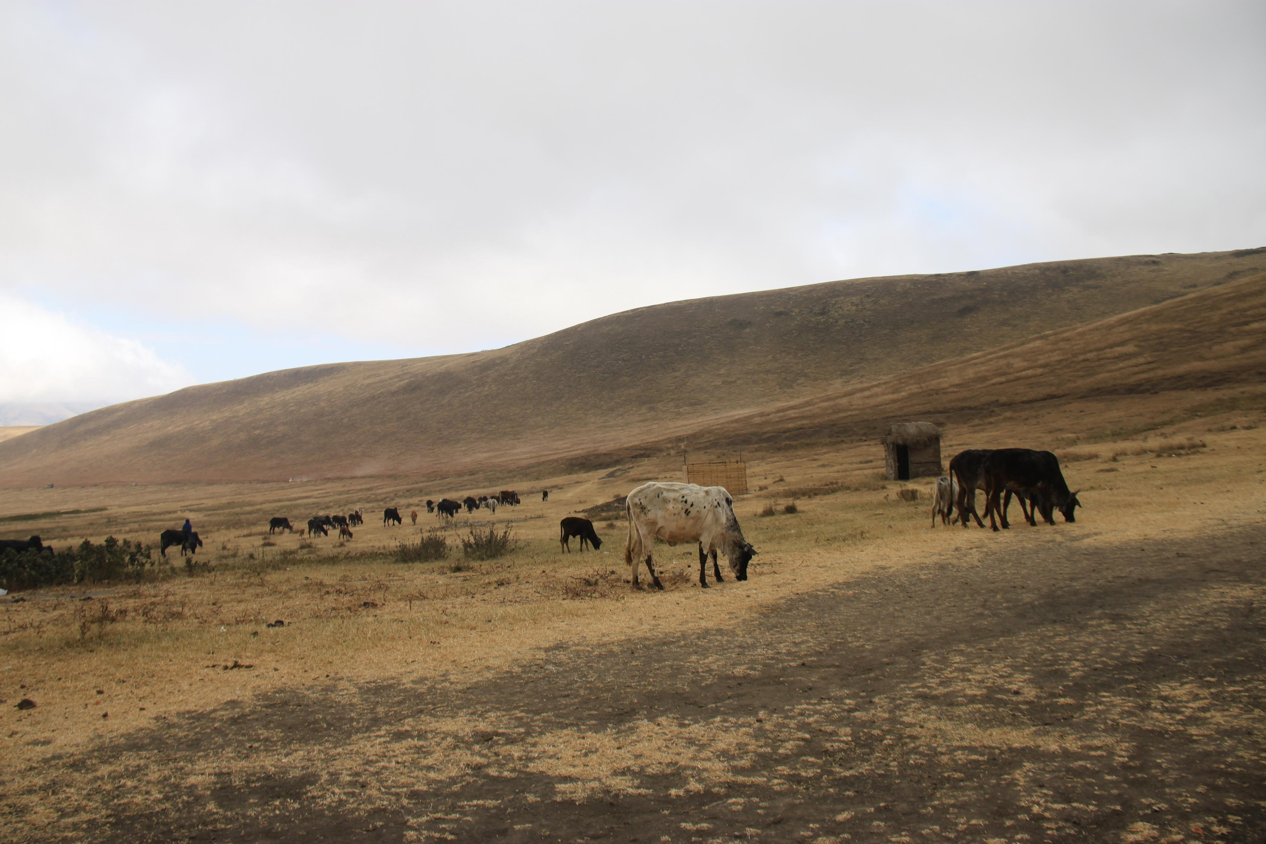 Maasai People, Tanzania. Andrey Filippov Photographer