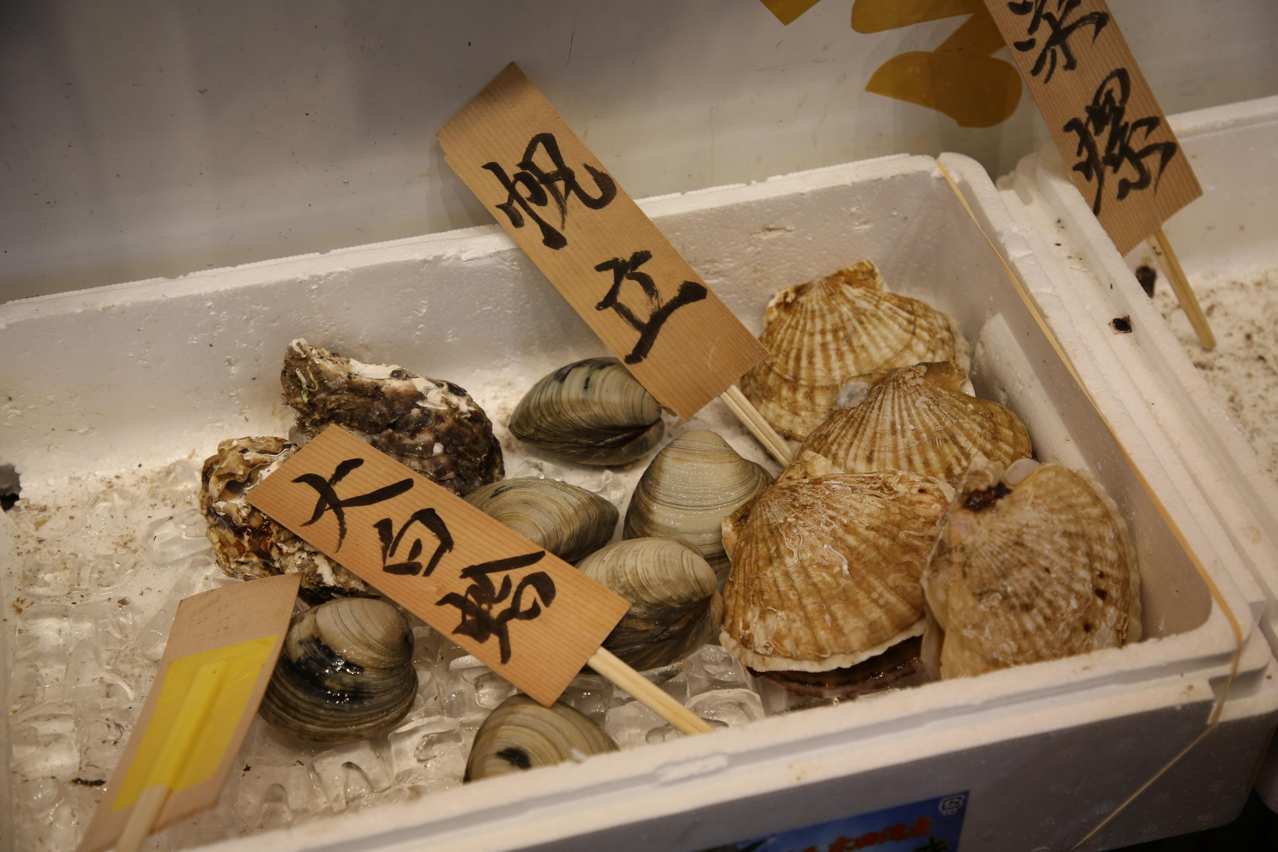 Japan. Andrey Filippov Photographer