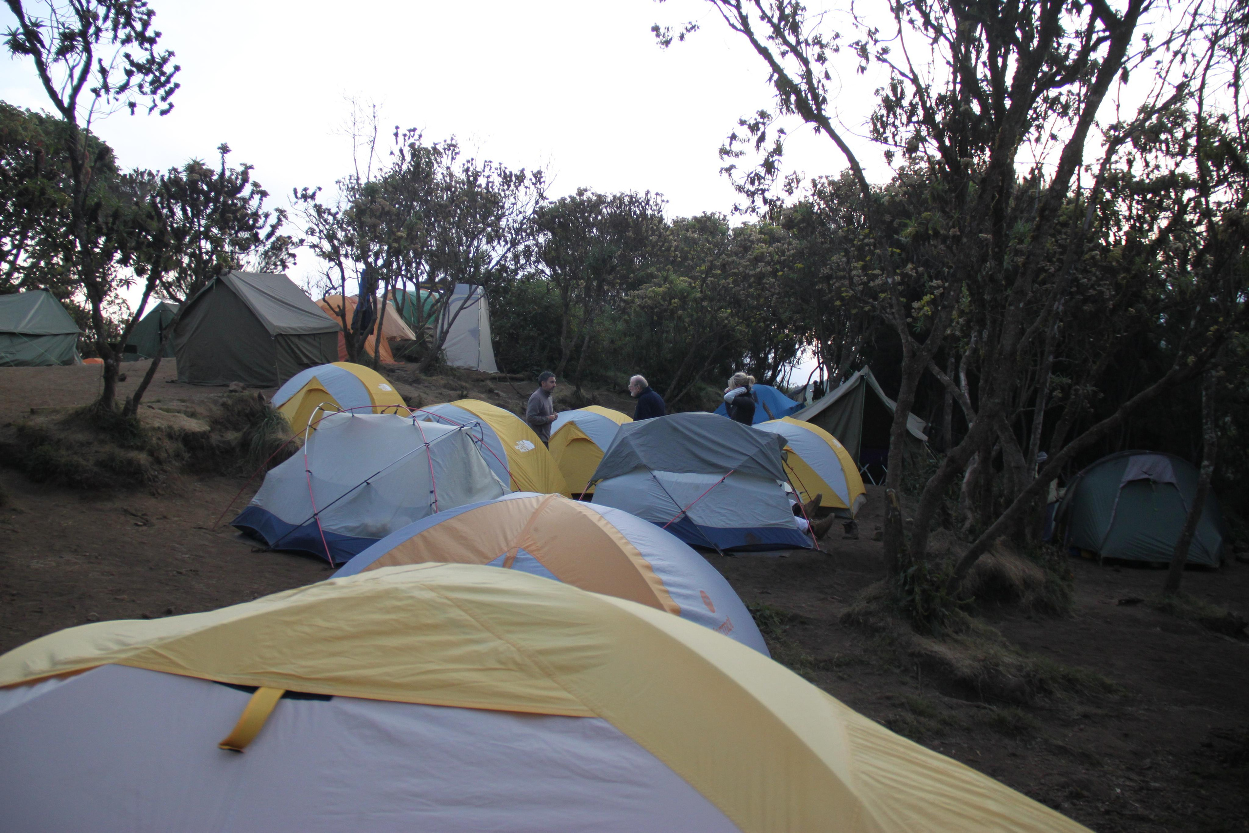 Mount Kilimanjaro. Andrey Filippov Photographer
