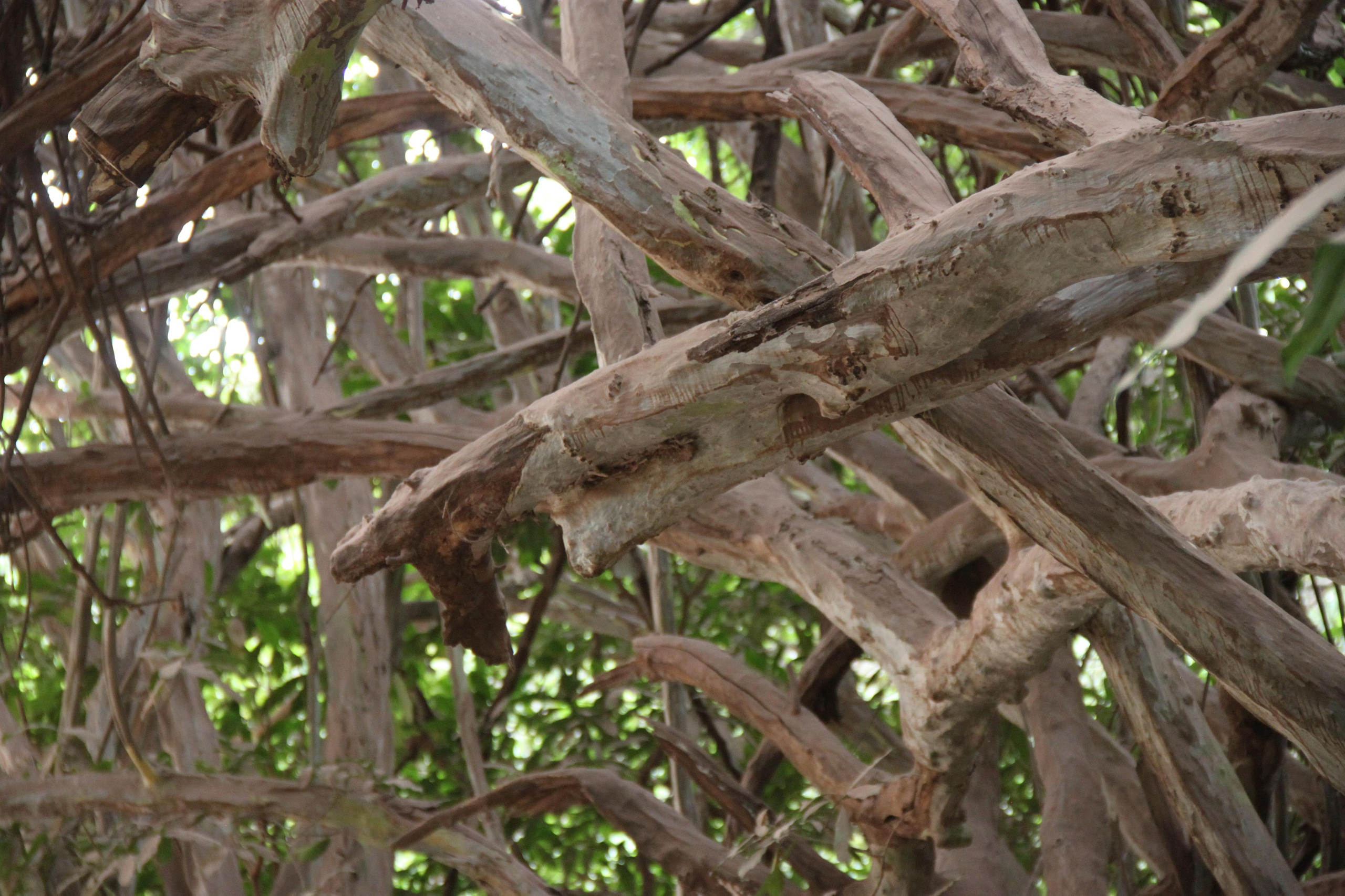 Lake Manyara National Park. Andrey Filippov Photographer