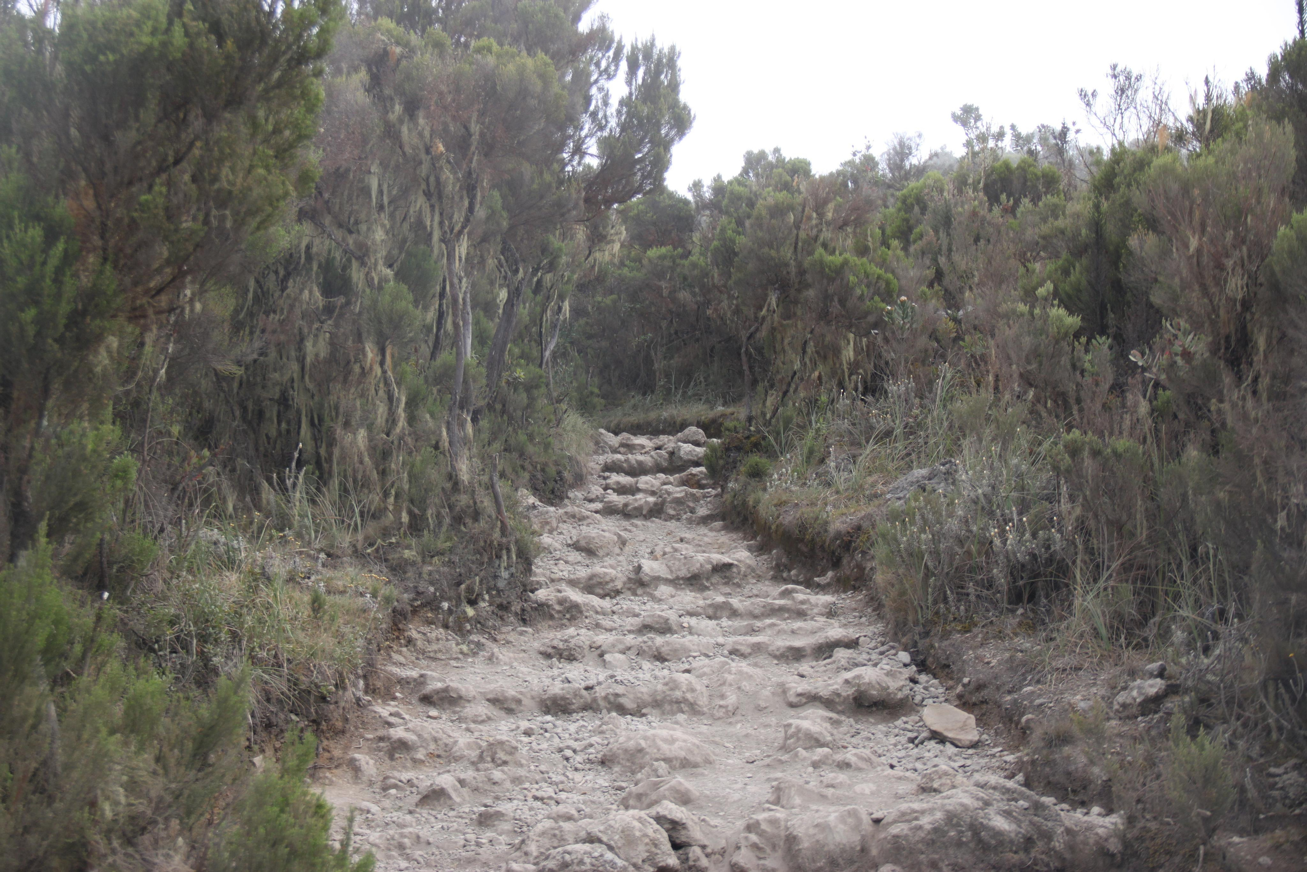 Mount Kilimanjaro. Andrey Filippov Photographer
