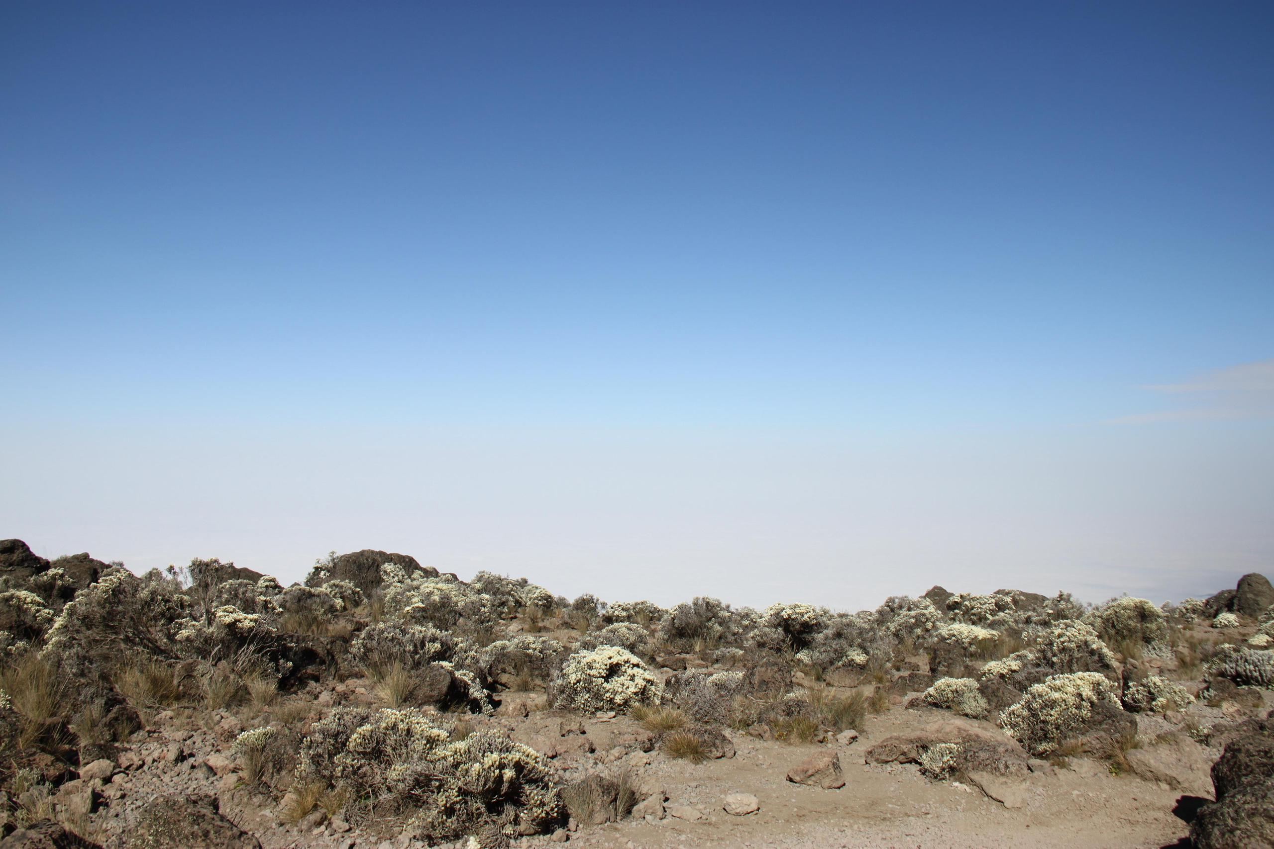 Mount Kilimanjaro. Andrey Filippov Photographer