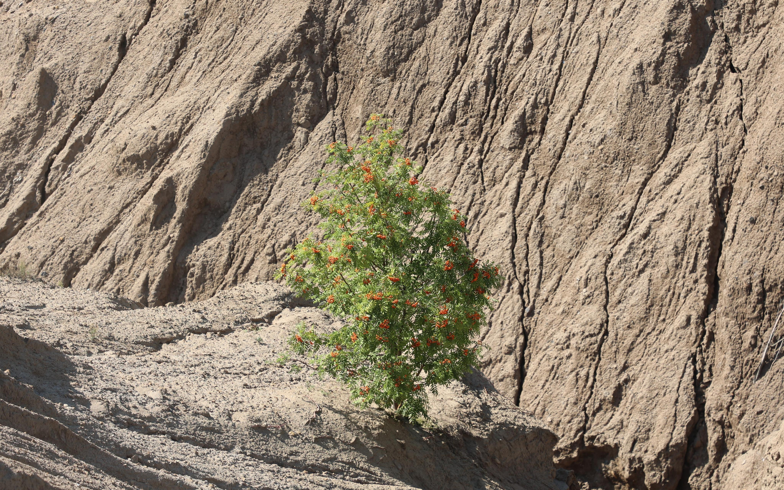 Romantsev mountains, Konduki. Andrey Filippov Photographer
