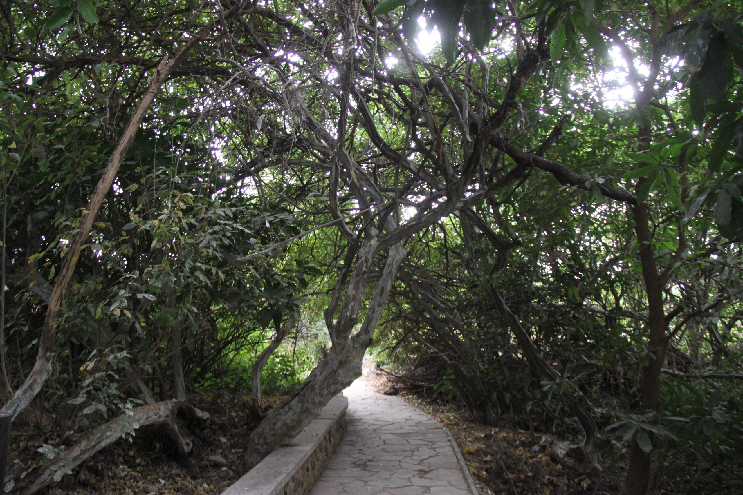 Lake Manyara National Park. Andrey Filippov Photographer