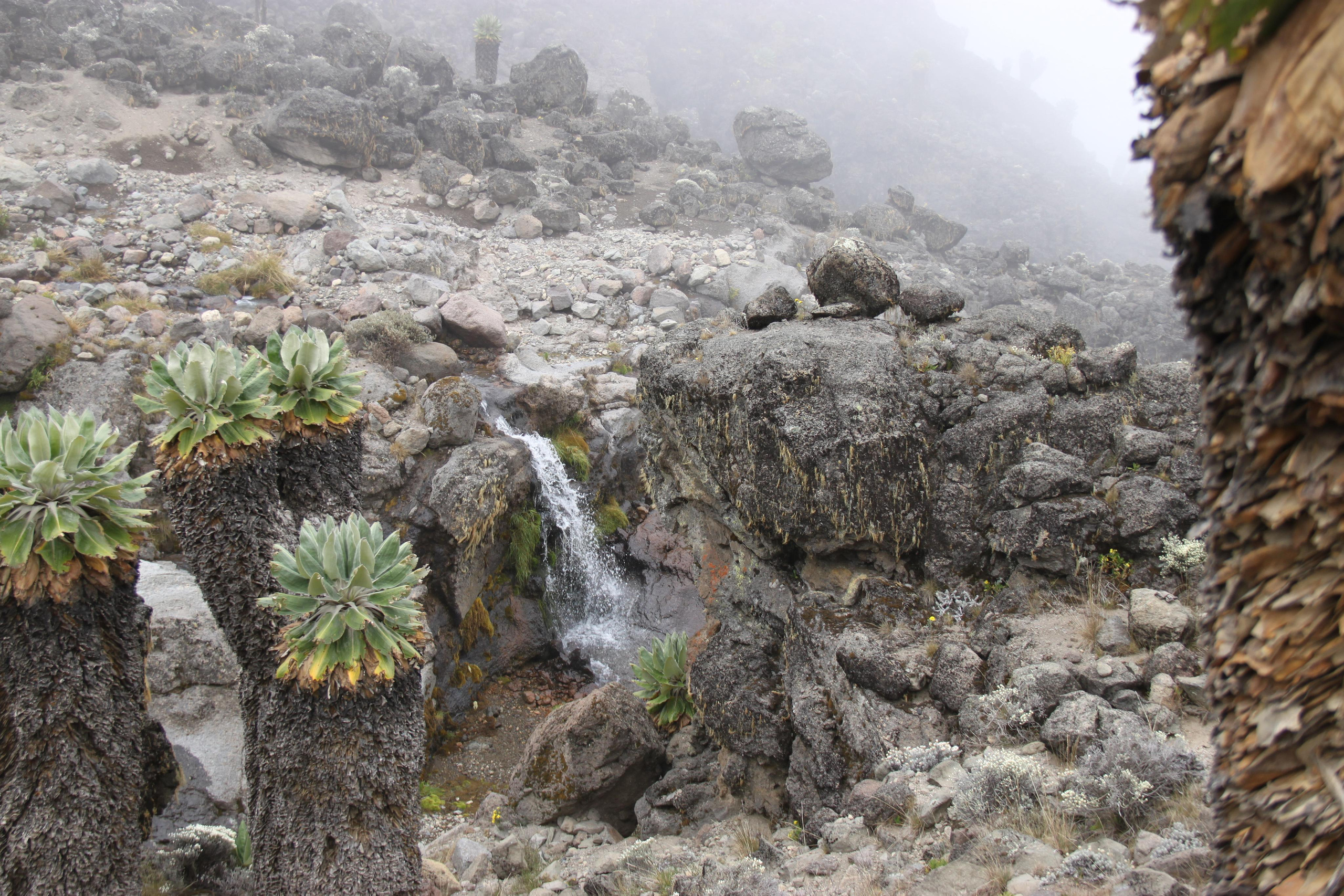 Mount Kilimanjaro. Andrey Filippov Photographer