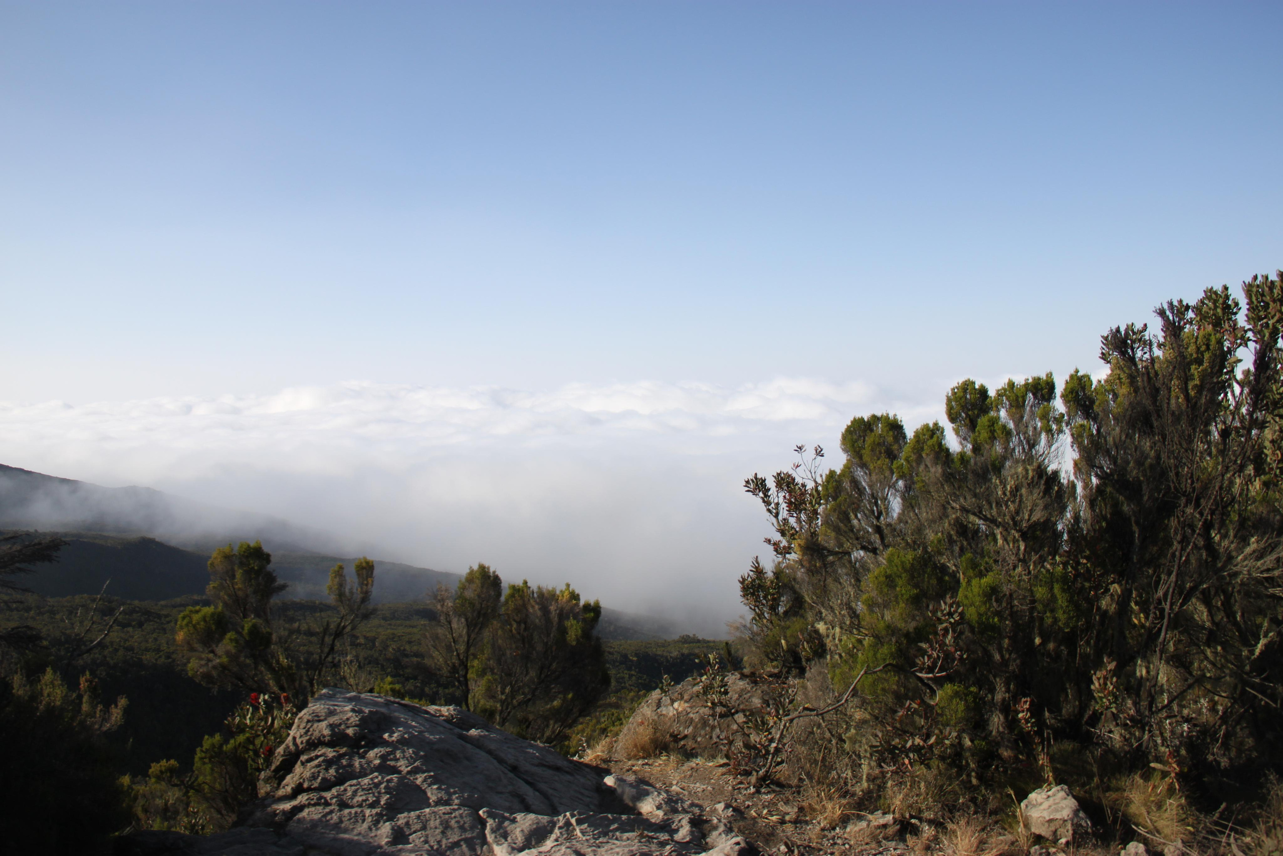 Mount Kilimanjaro. Andrey Filippov Photographer