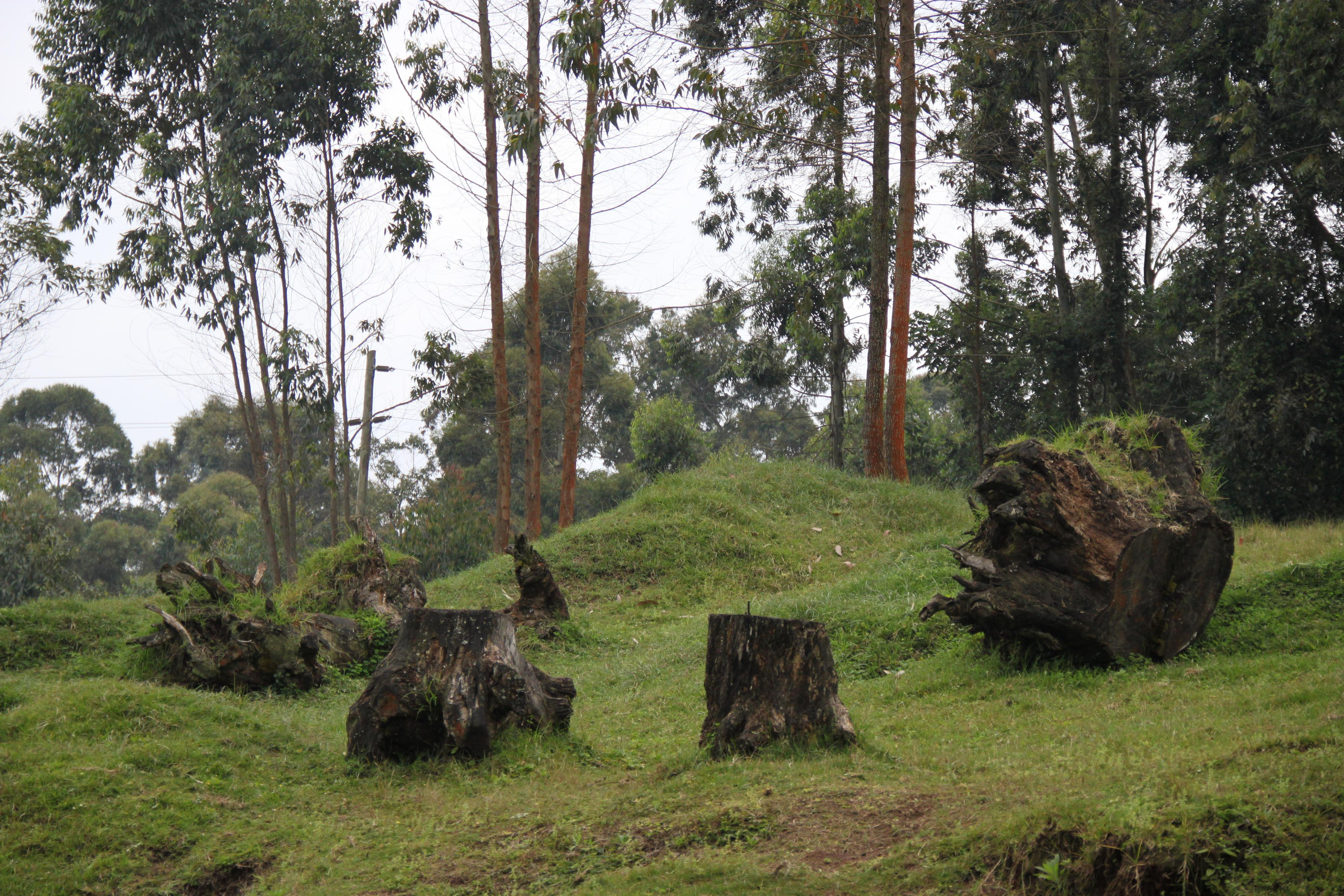 Mount Kilimanjaro. Andrey Filippov Photographer