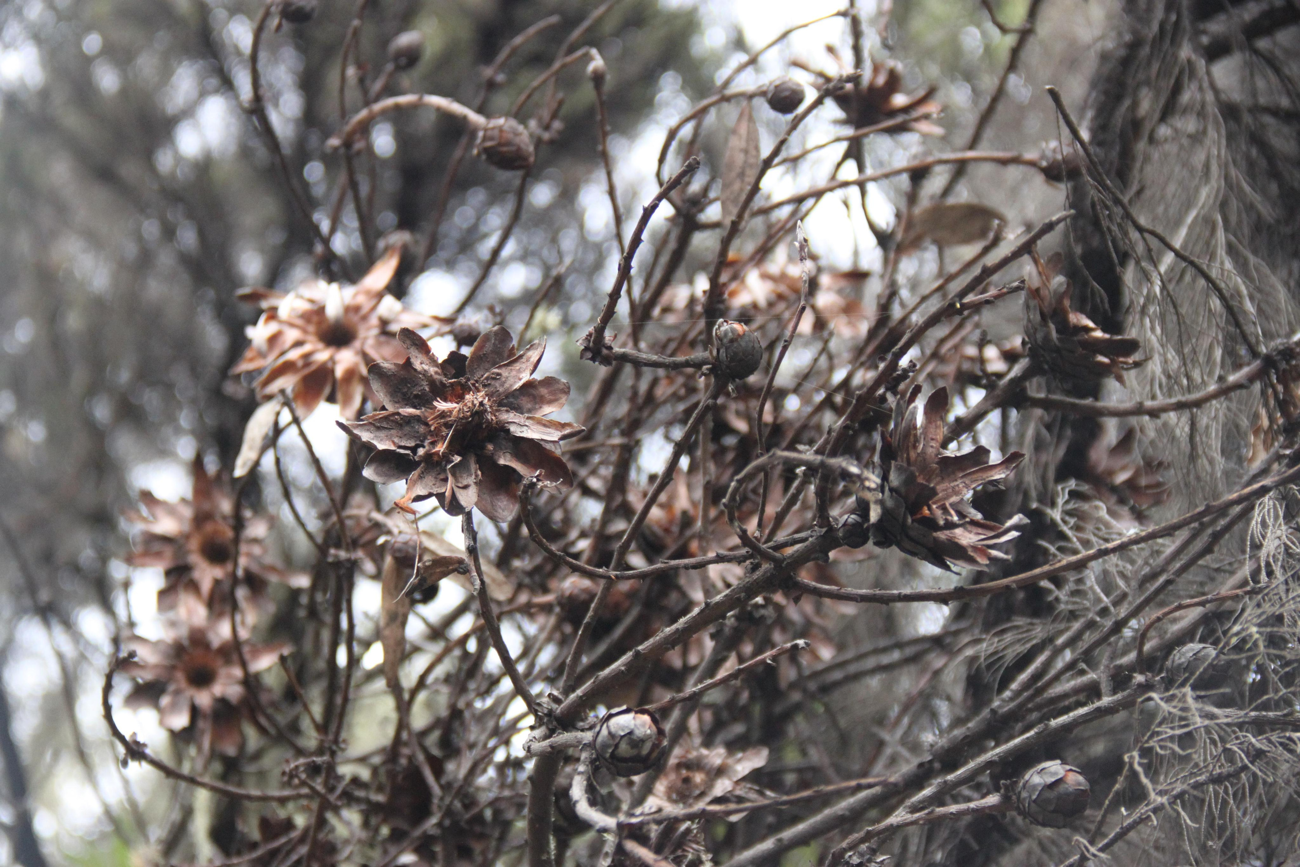 Mount Kilimanjaro. Andrey Filippov Photographer