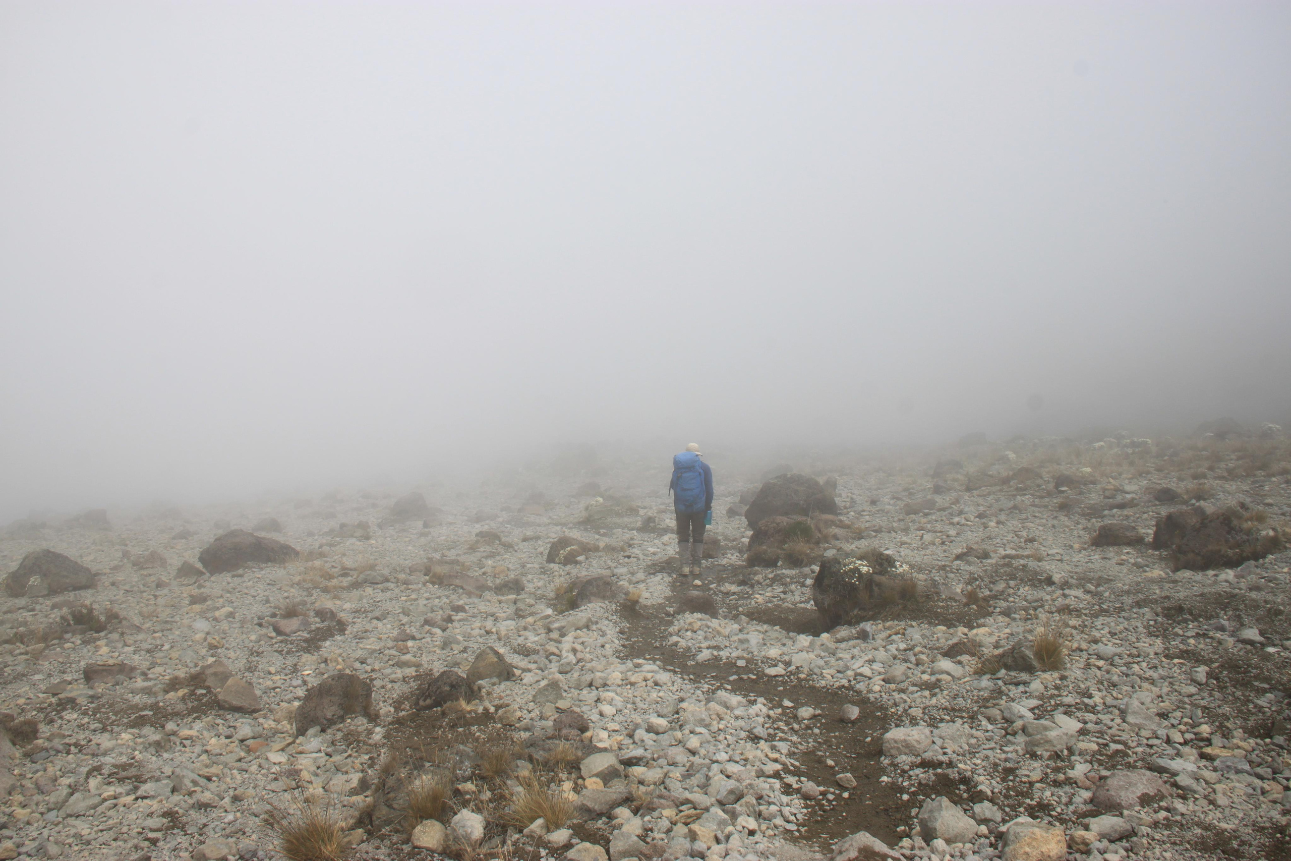 Mount Kilimanjaro. Andrey Filippov Photographer