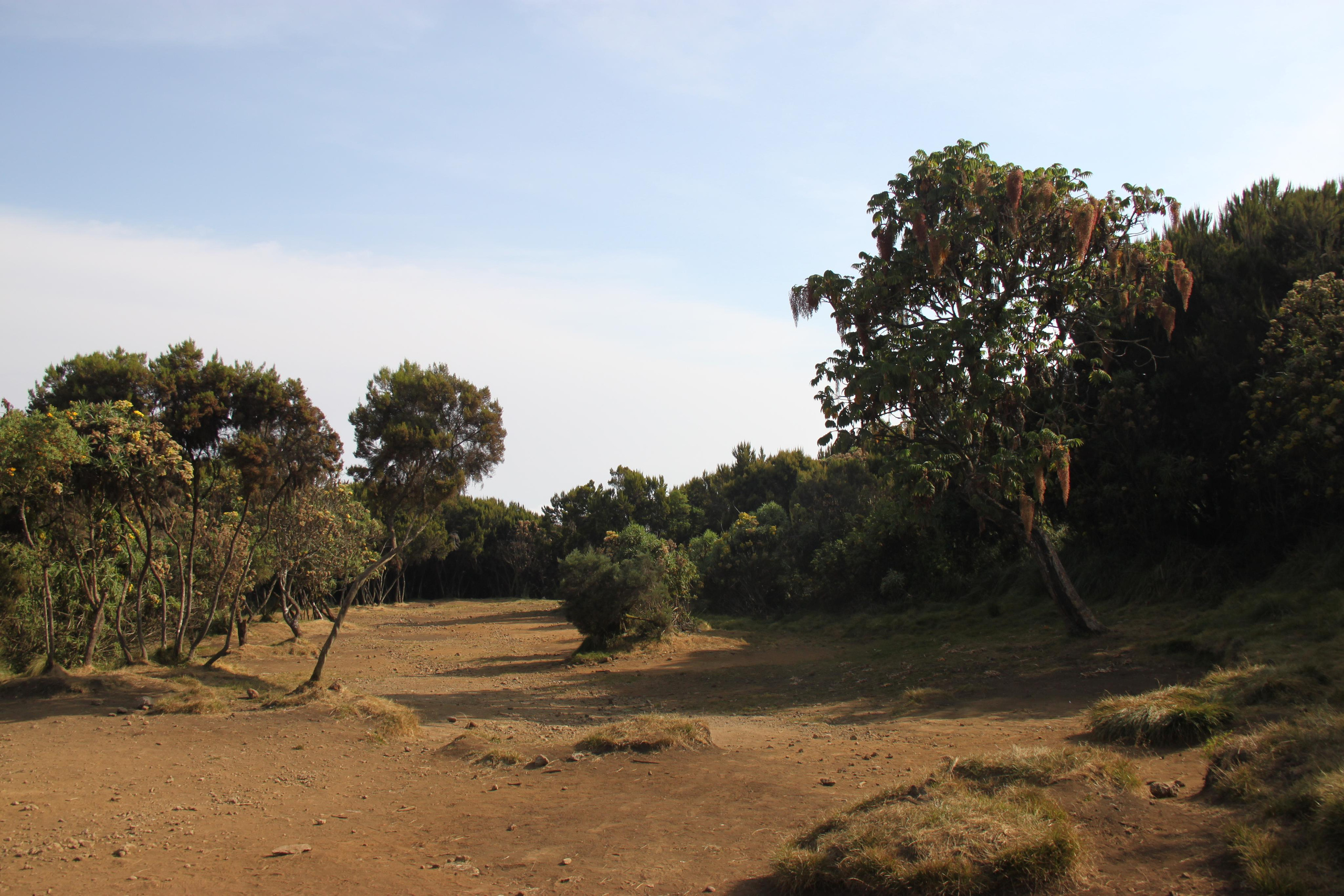 Mount Kilimanjaro. Andrey Filippov Photographer