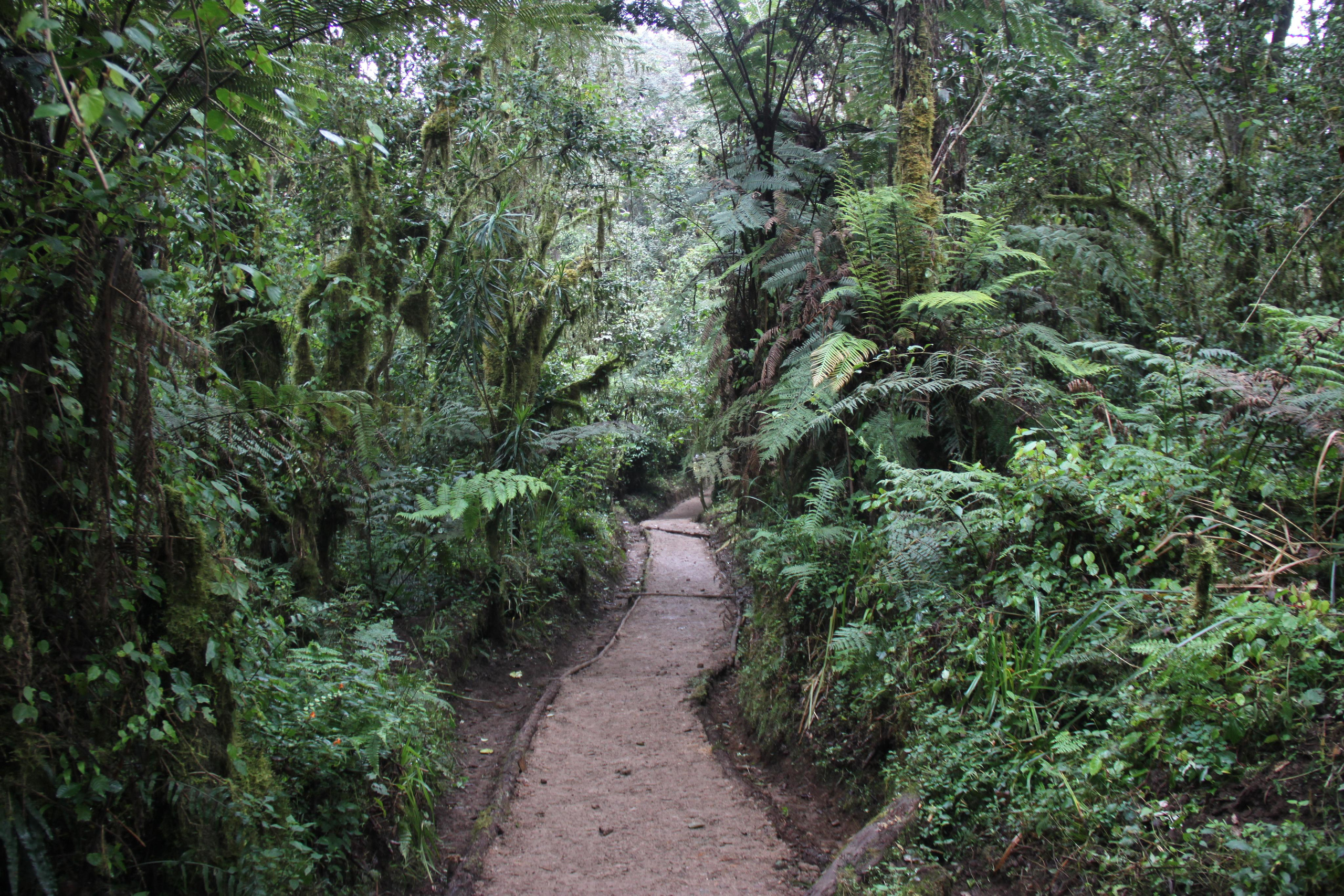 Mount Kilimanjaro. Andrey Filippov Photographer