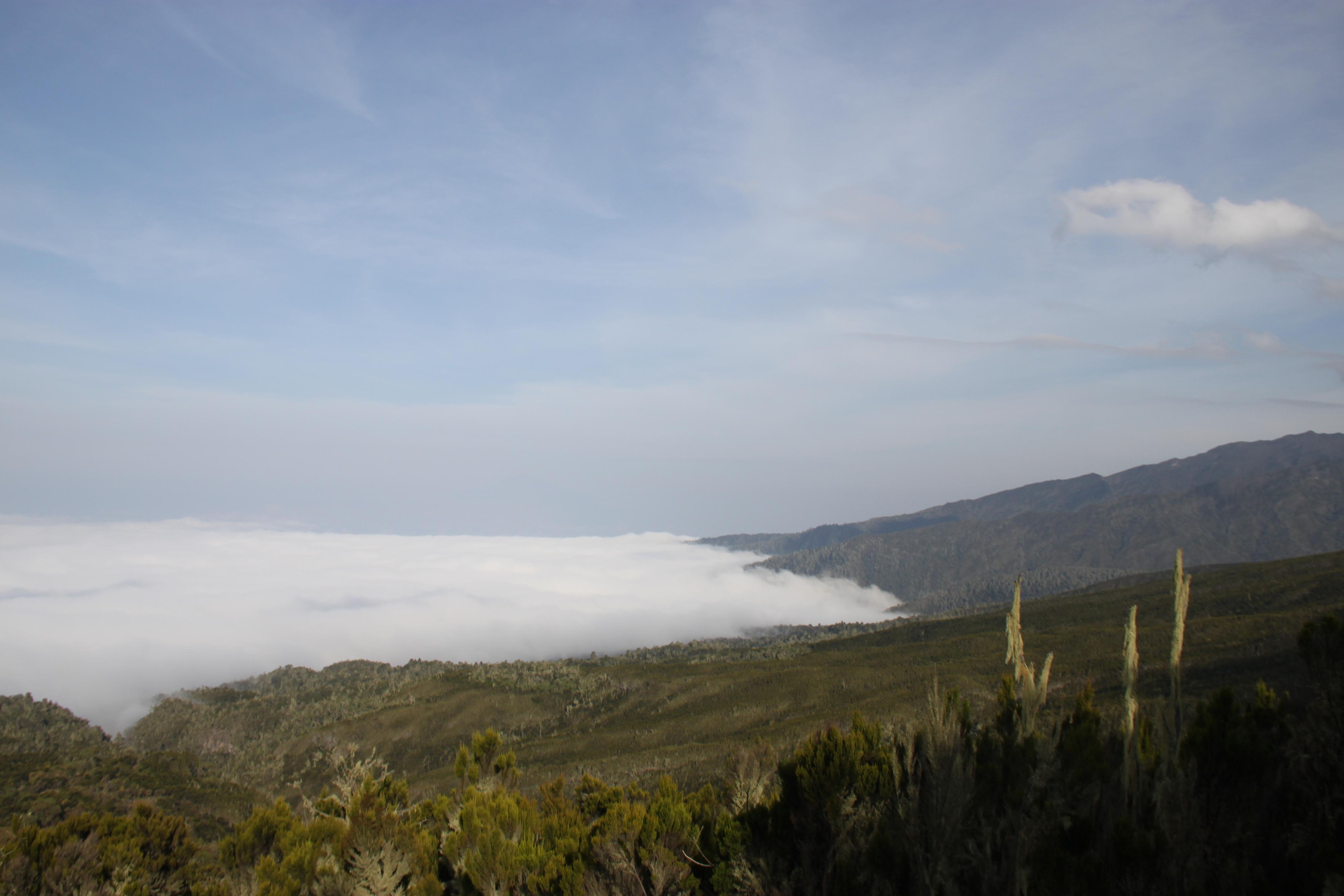 Mount Kilimanjaro. Andrey Filippov Photographer