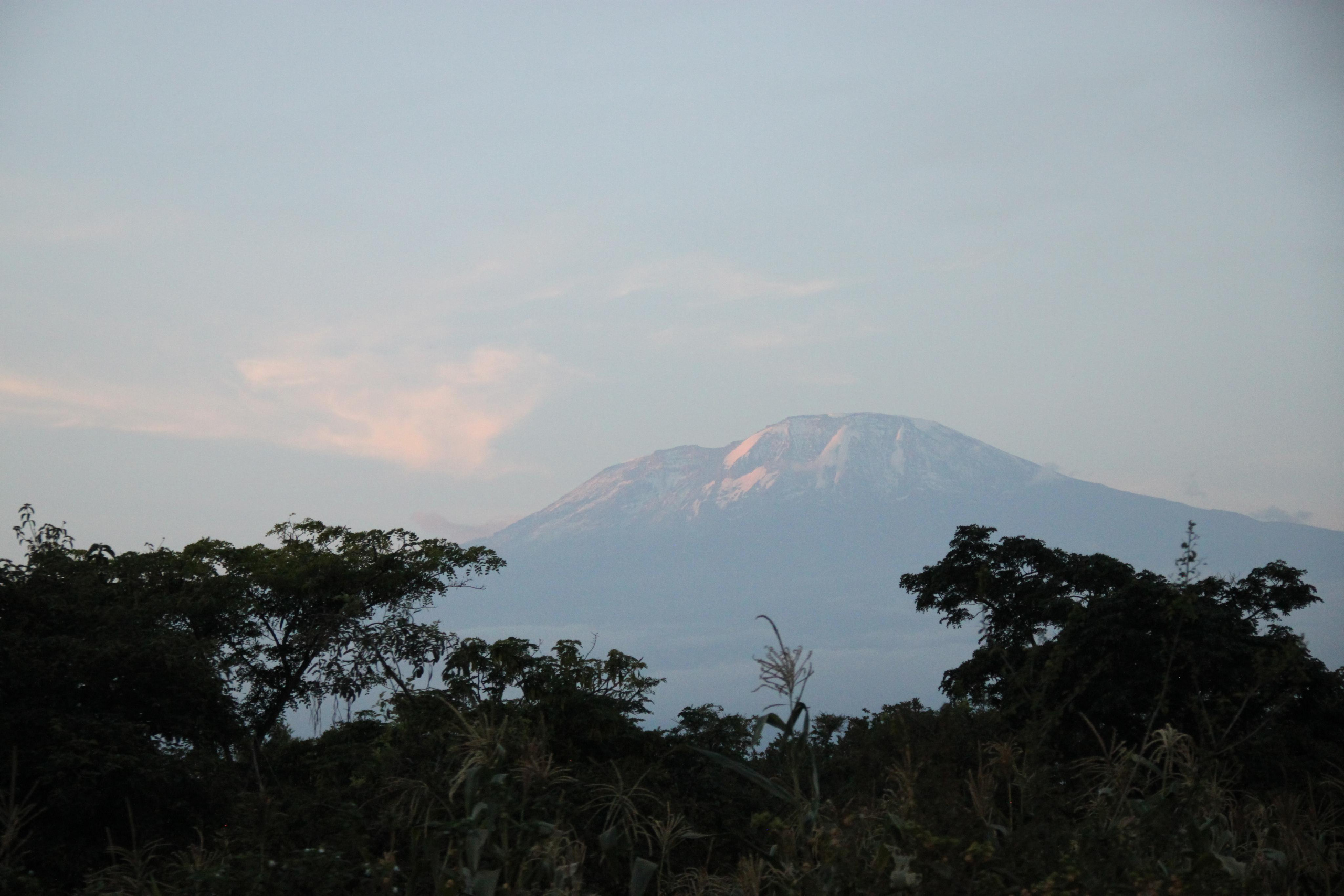 Mount Kilimanjaro. Andrey Filippov Photographer