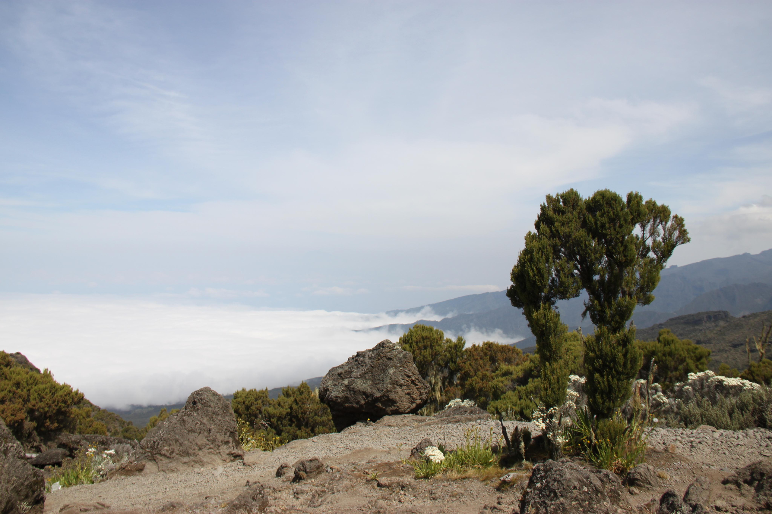 Mount Kilimanjaro. Andrey Filippov Photographer