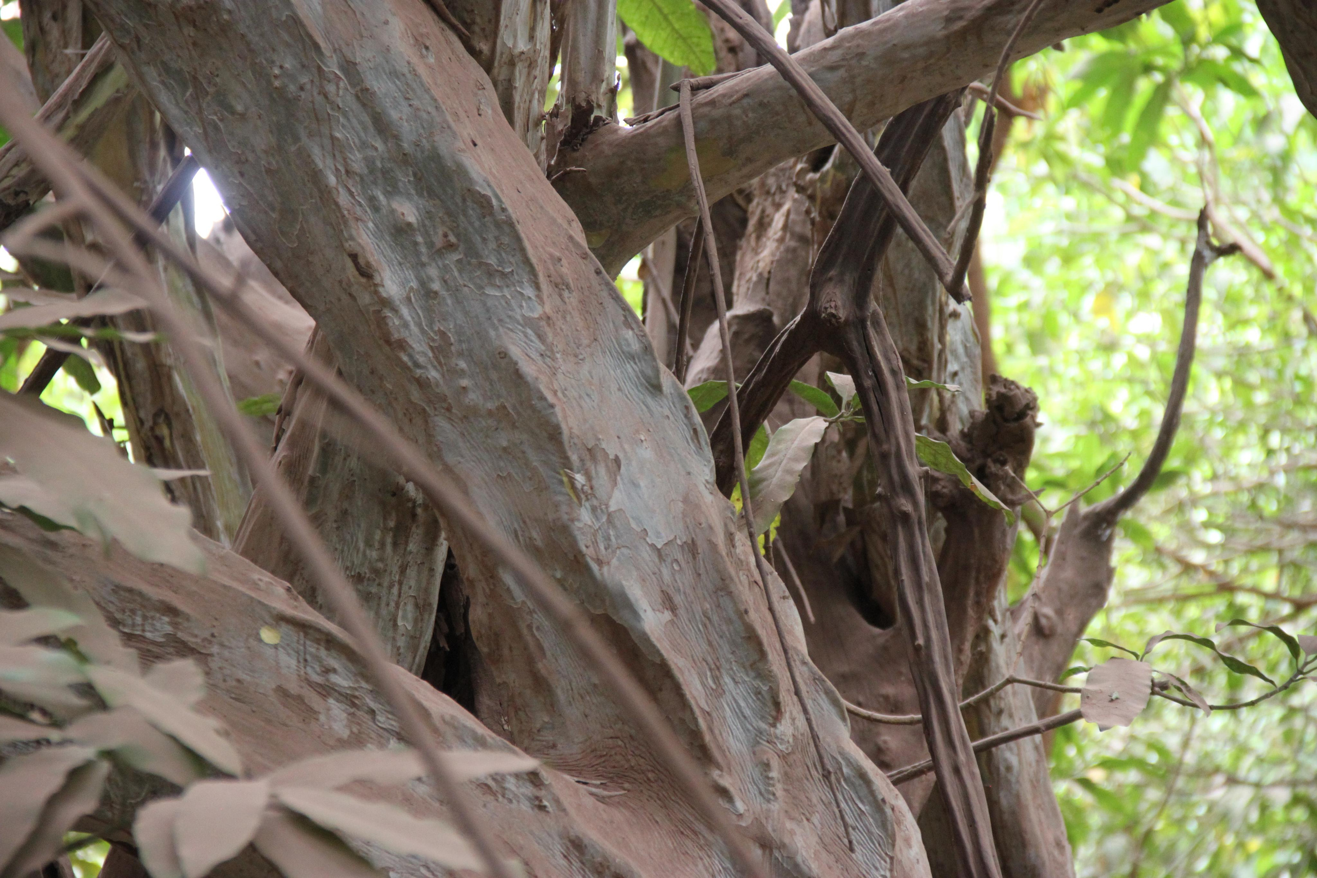 Lake Manyara National Park. Andrey Filippov Photographer