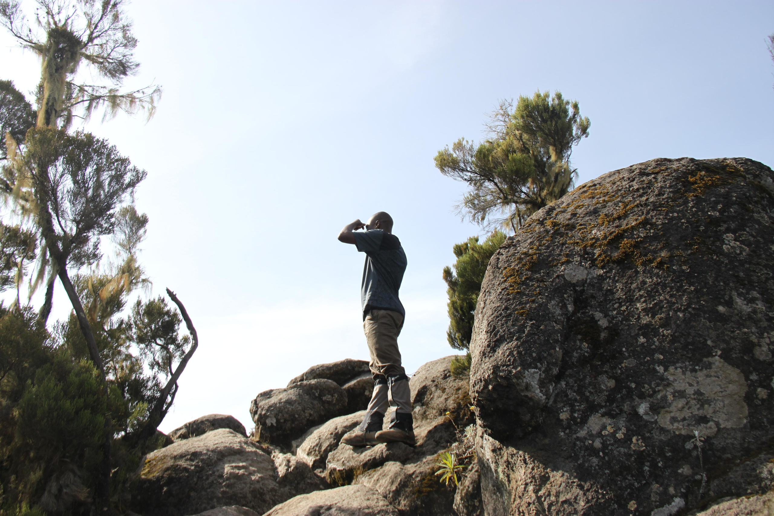 Mount Kilimanjaro. Andrey Filippov Photographer