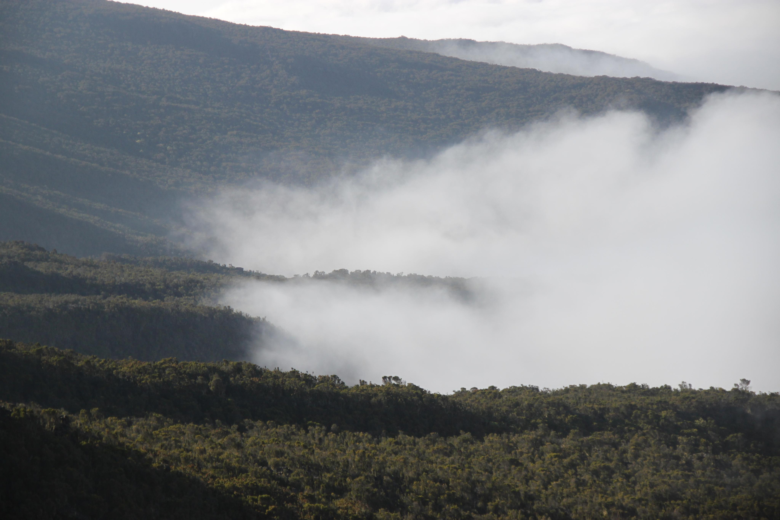 Mount Kilimanjaro. Andrey Filippov Photographer