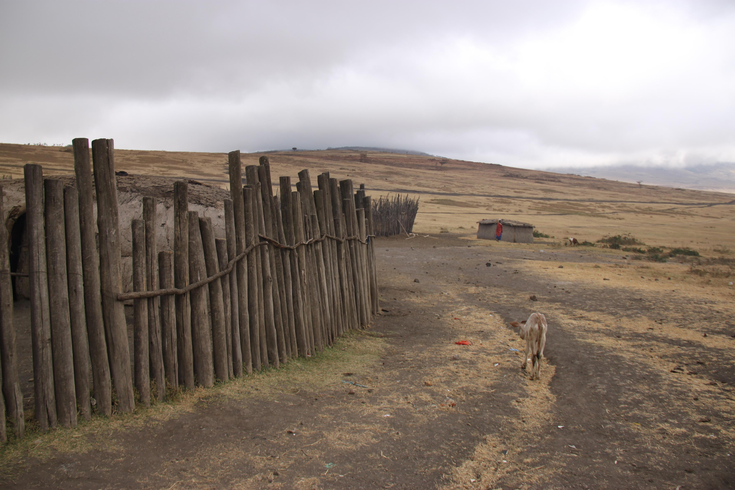 Maasai People, Tanzania. Andrey Filippov Photographer