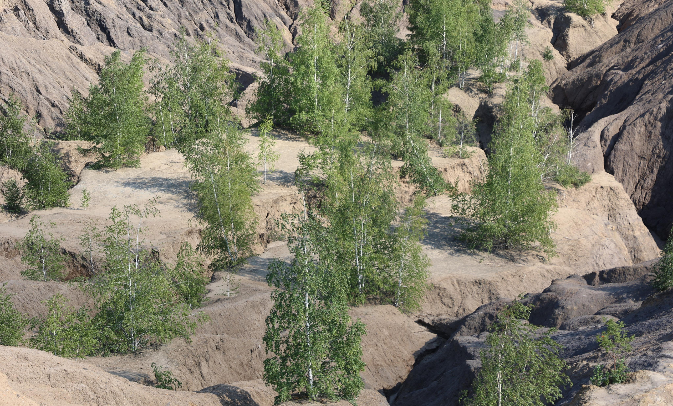 Romantsev mountains, Konduki. Andrey Filippov Photographer