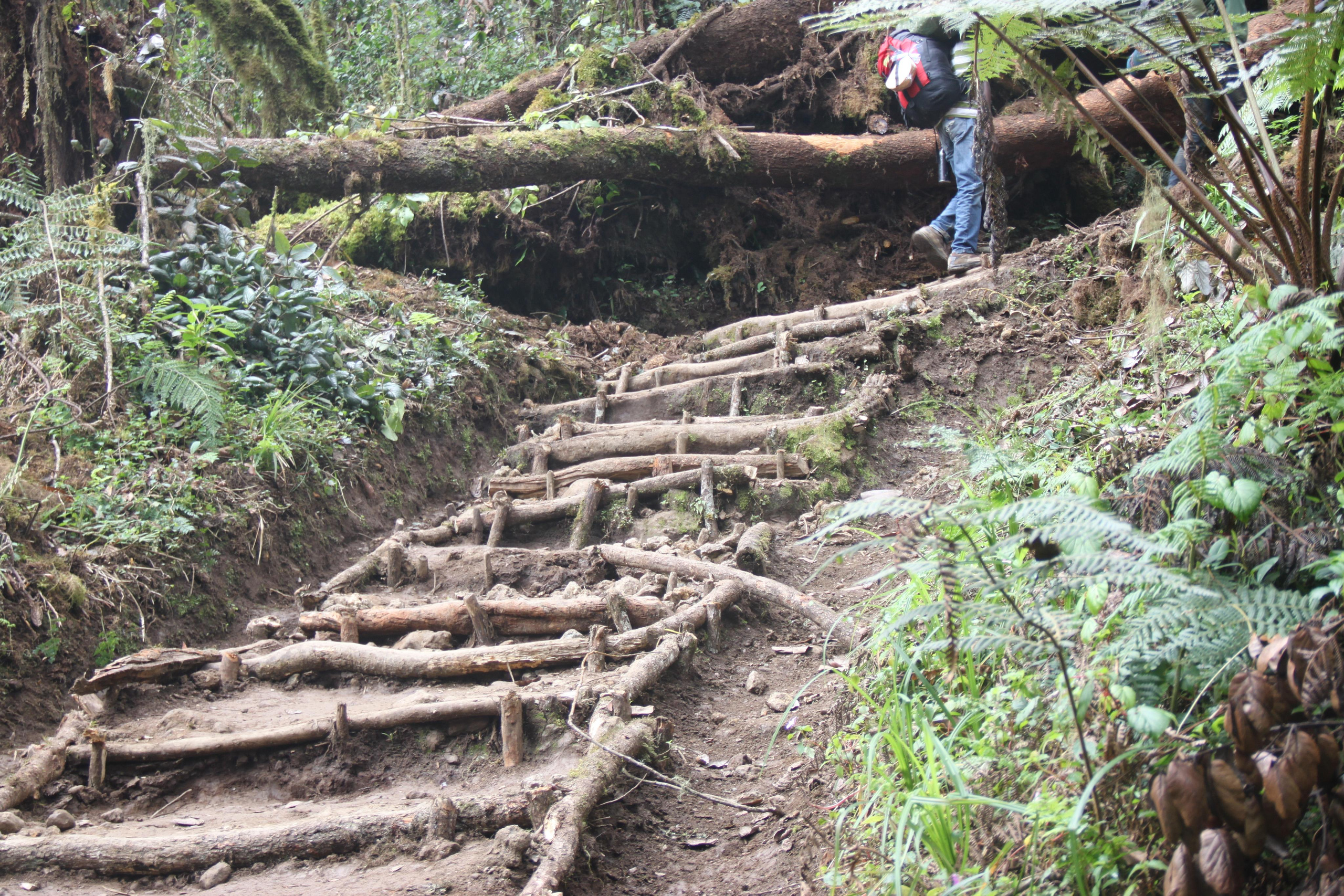 Mount Kilimanjaro. Andrey Filippov Photographer