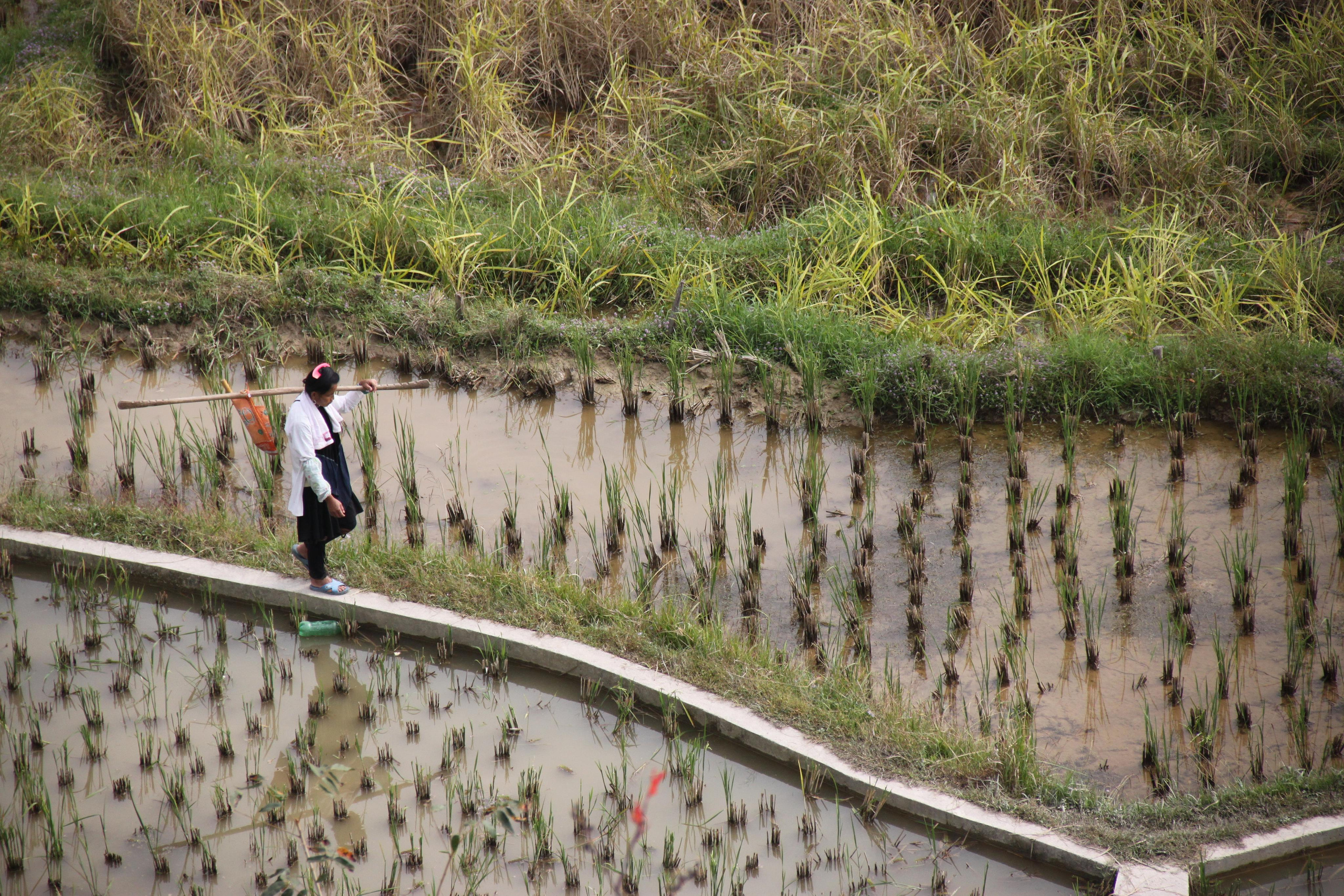 Andrey Filippov Photographer