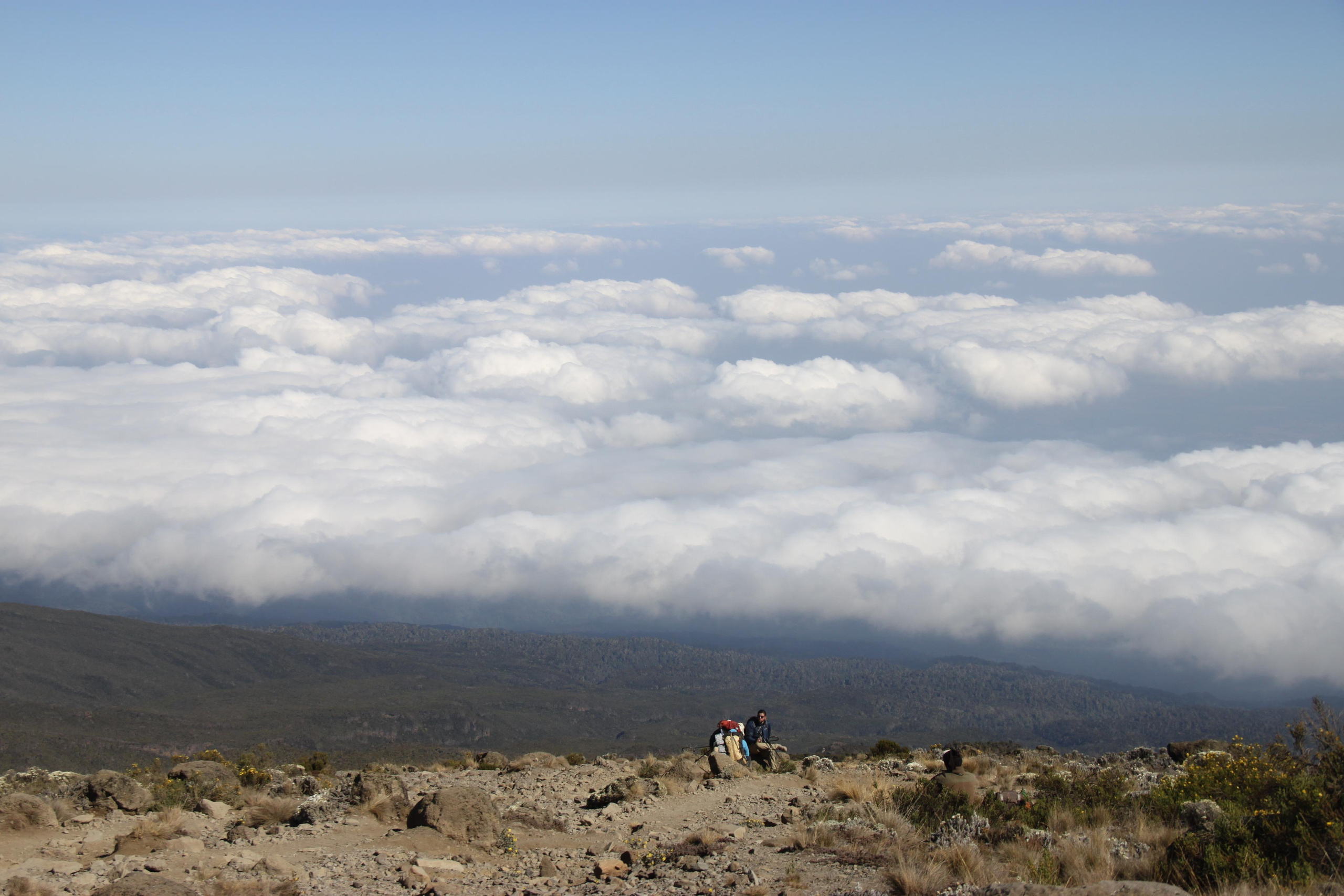Mount Kilimanjaro. Andrey Filippov Photographer