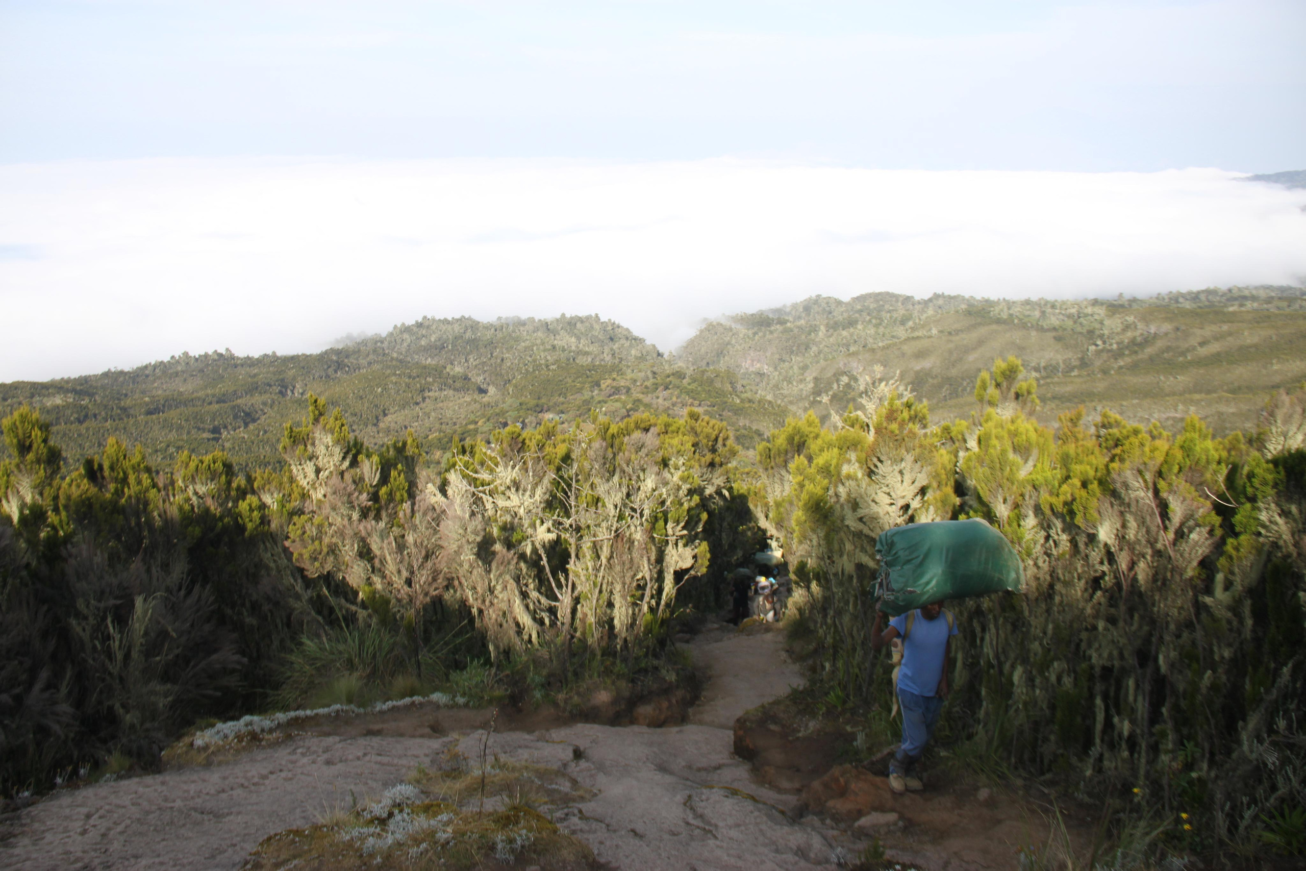 Mount Kilimanjaro. Andrey Filippov Photographer
