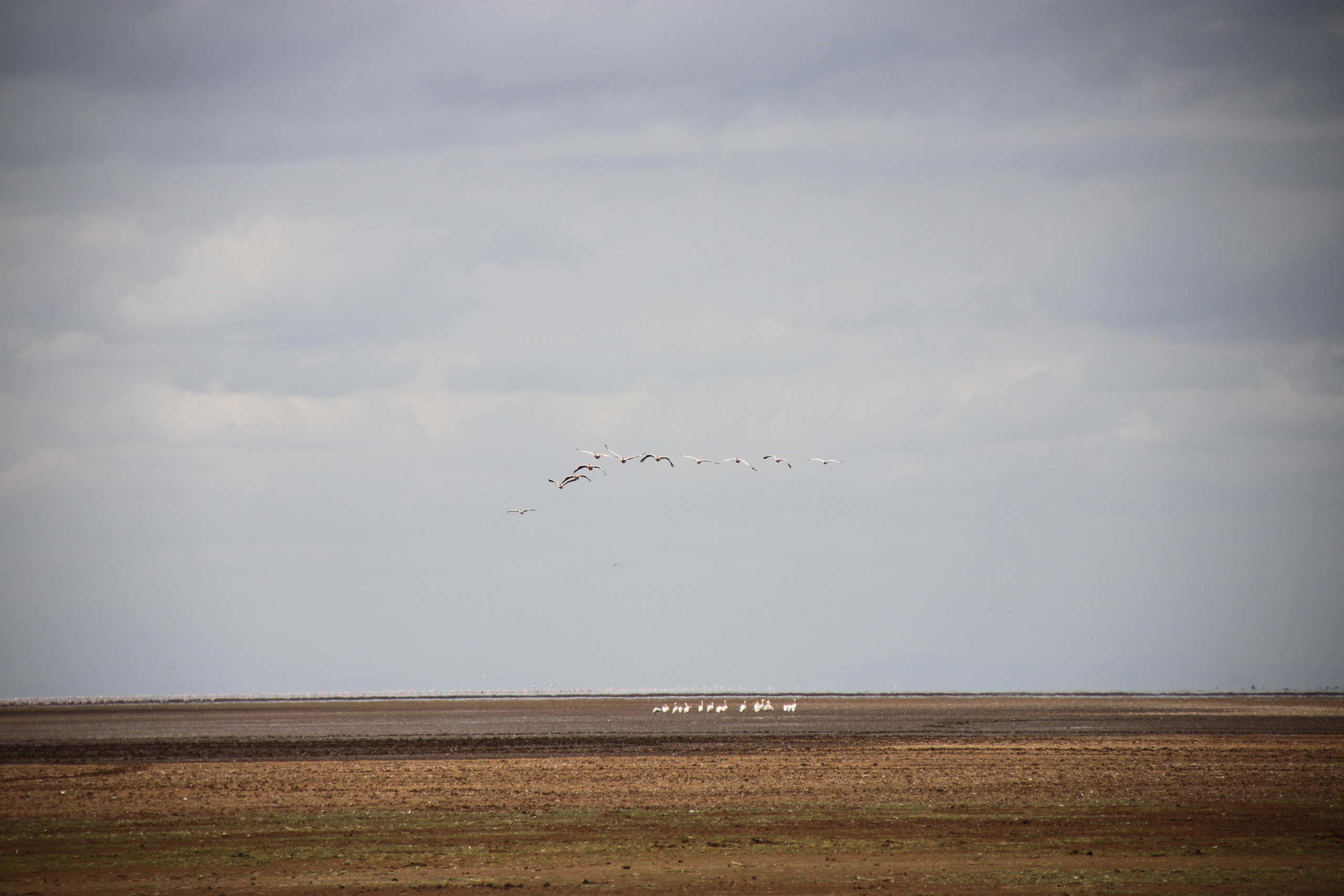 Lake Manyara National Park. Andrey Filippov Photographer