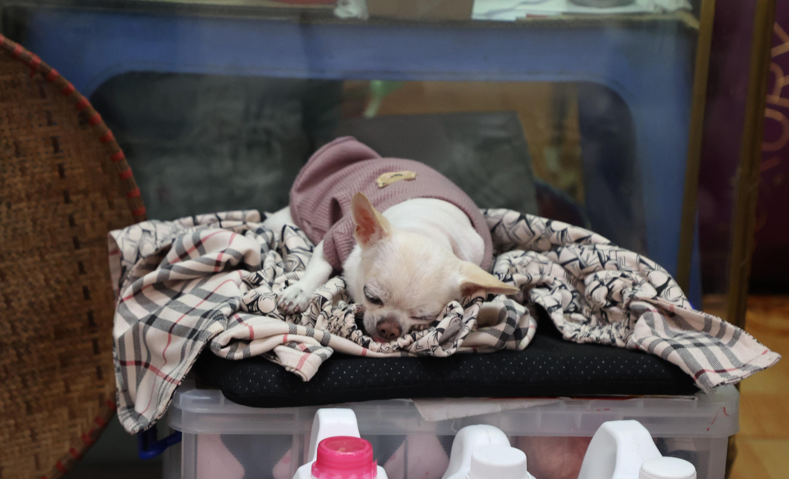 Hanoi, Vietnam. Andrey Filippov Photographer