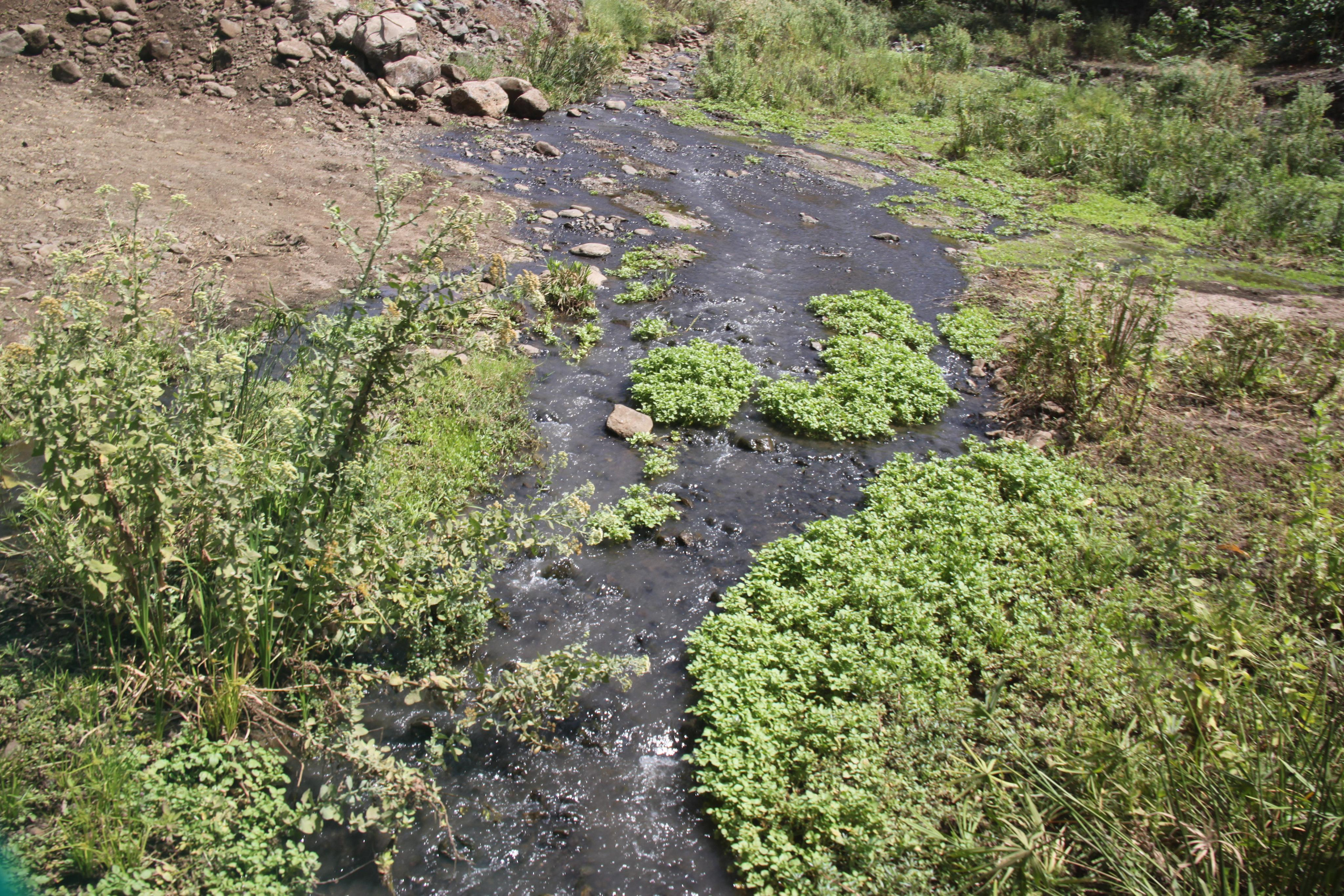Lake Manyara National Park. Andrey Filippov Photographer