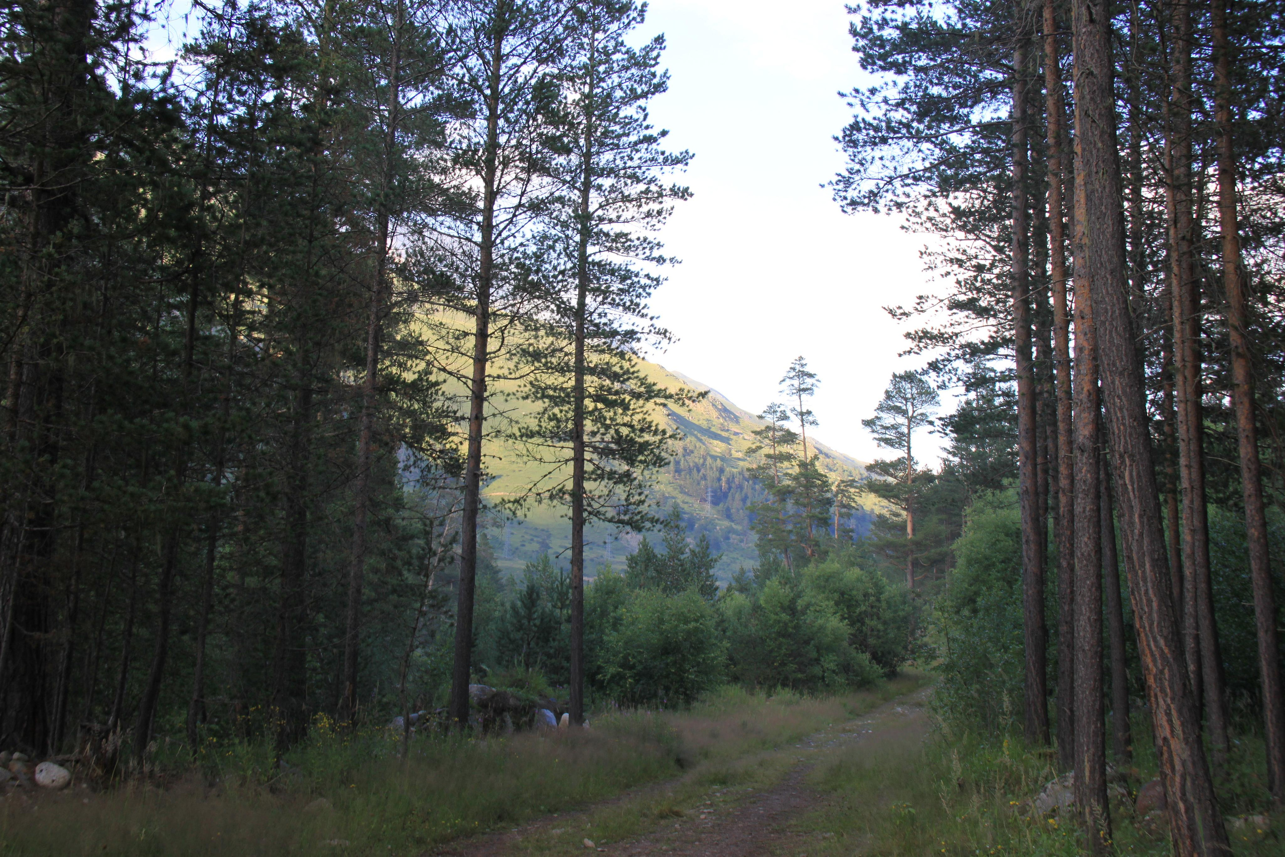 Mount Elbrus. Andrey Filippov Photographer