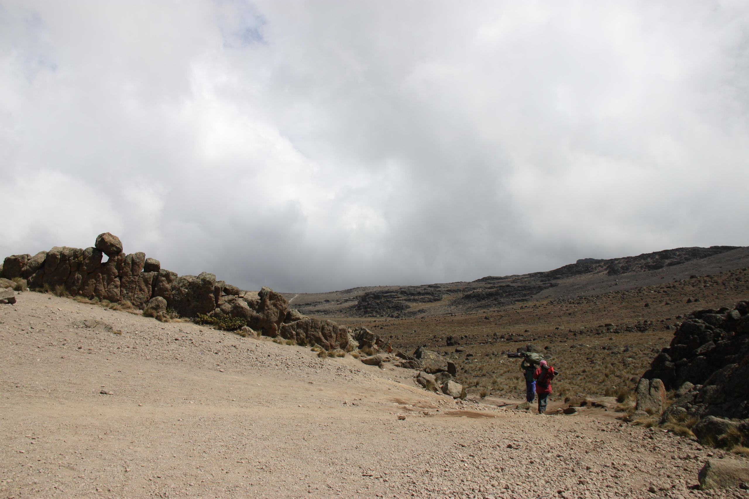 Mount Kilimanjaro. Andrey Filippov Photographer