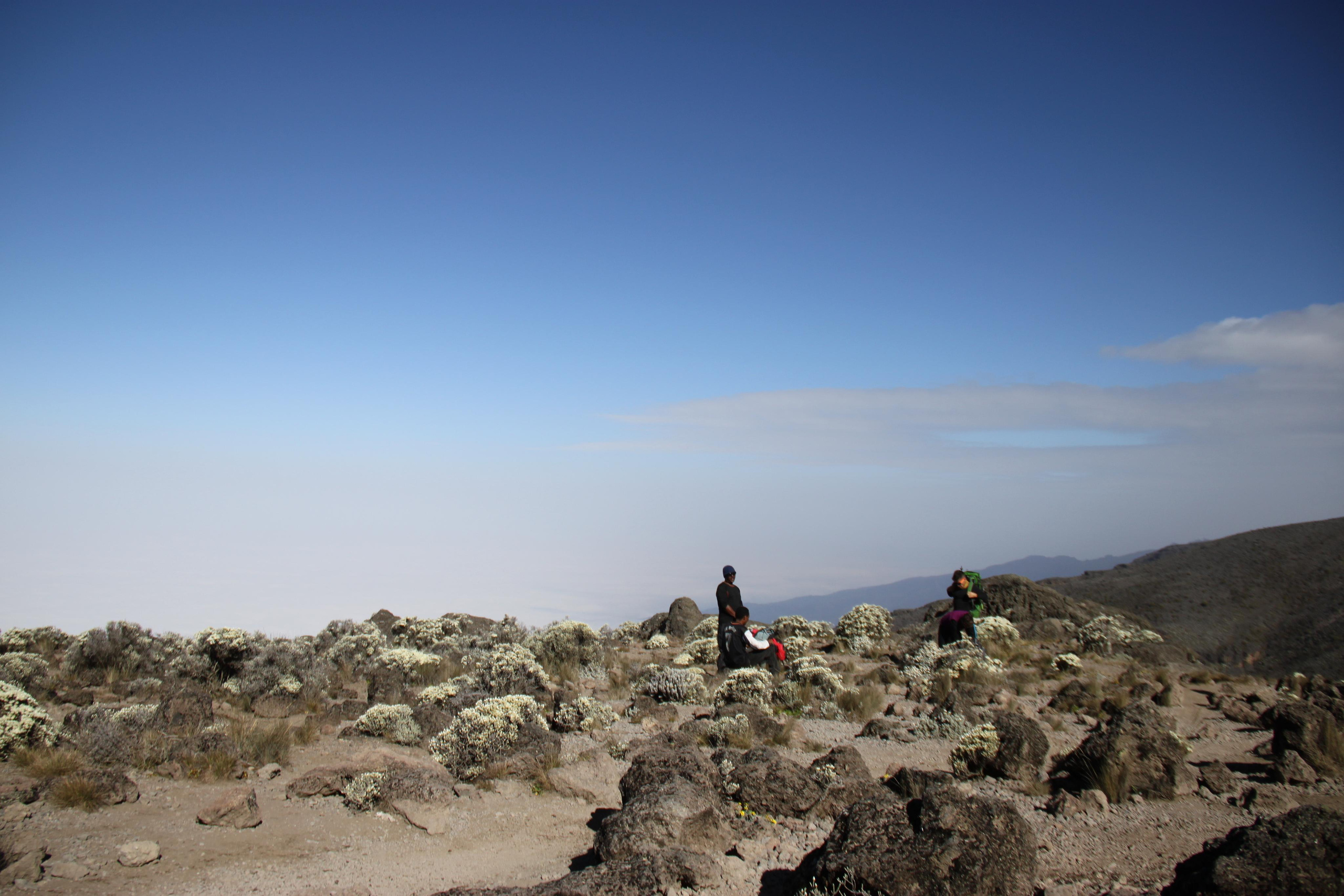 Mount Kilimanjaro. Andrey Filippov Photographer