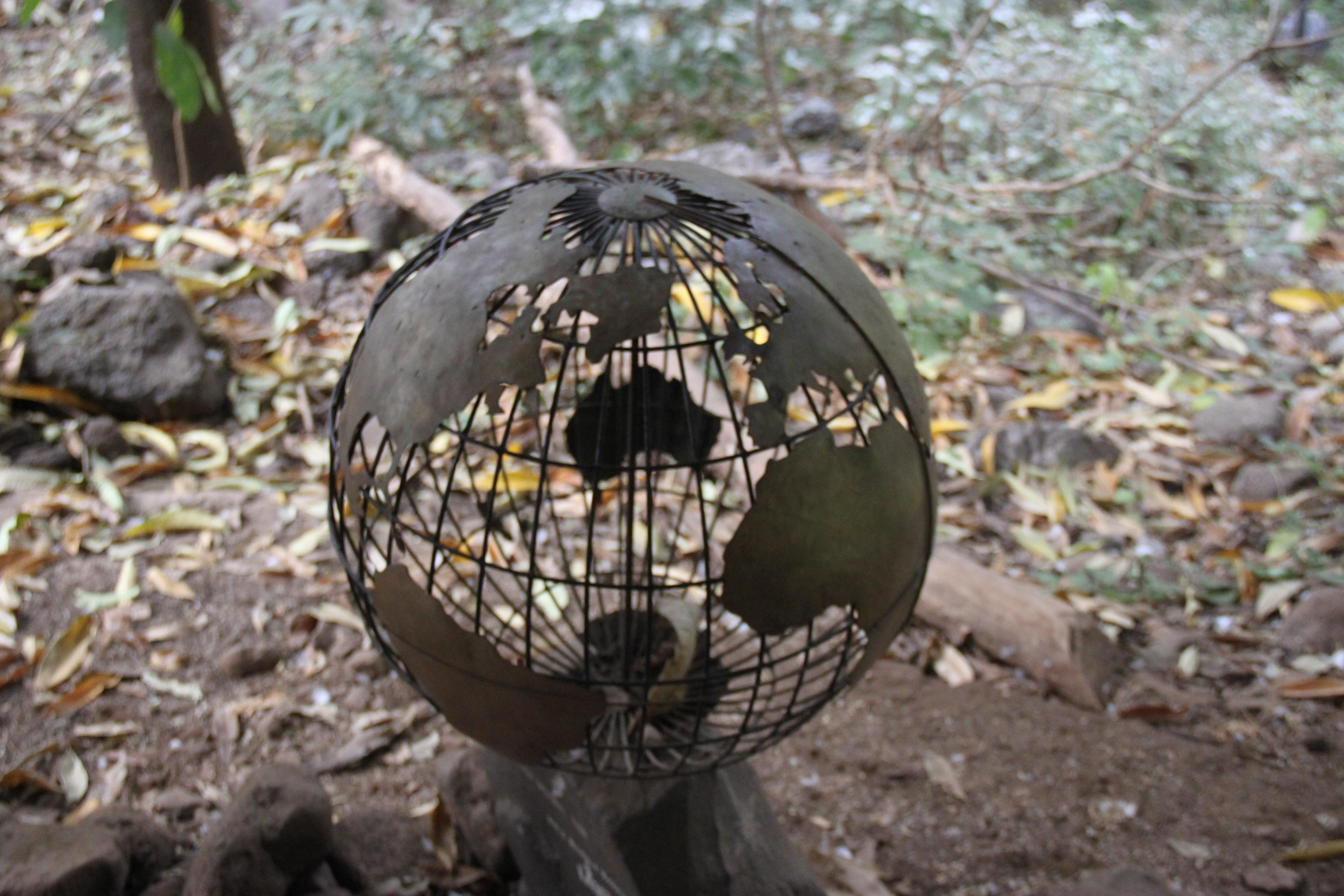 Lake Manyara National Park. Andrey Filippov Photographer