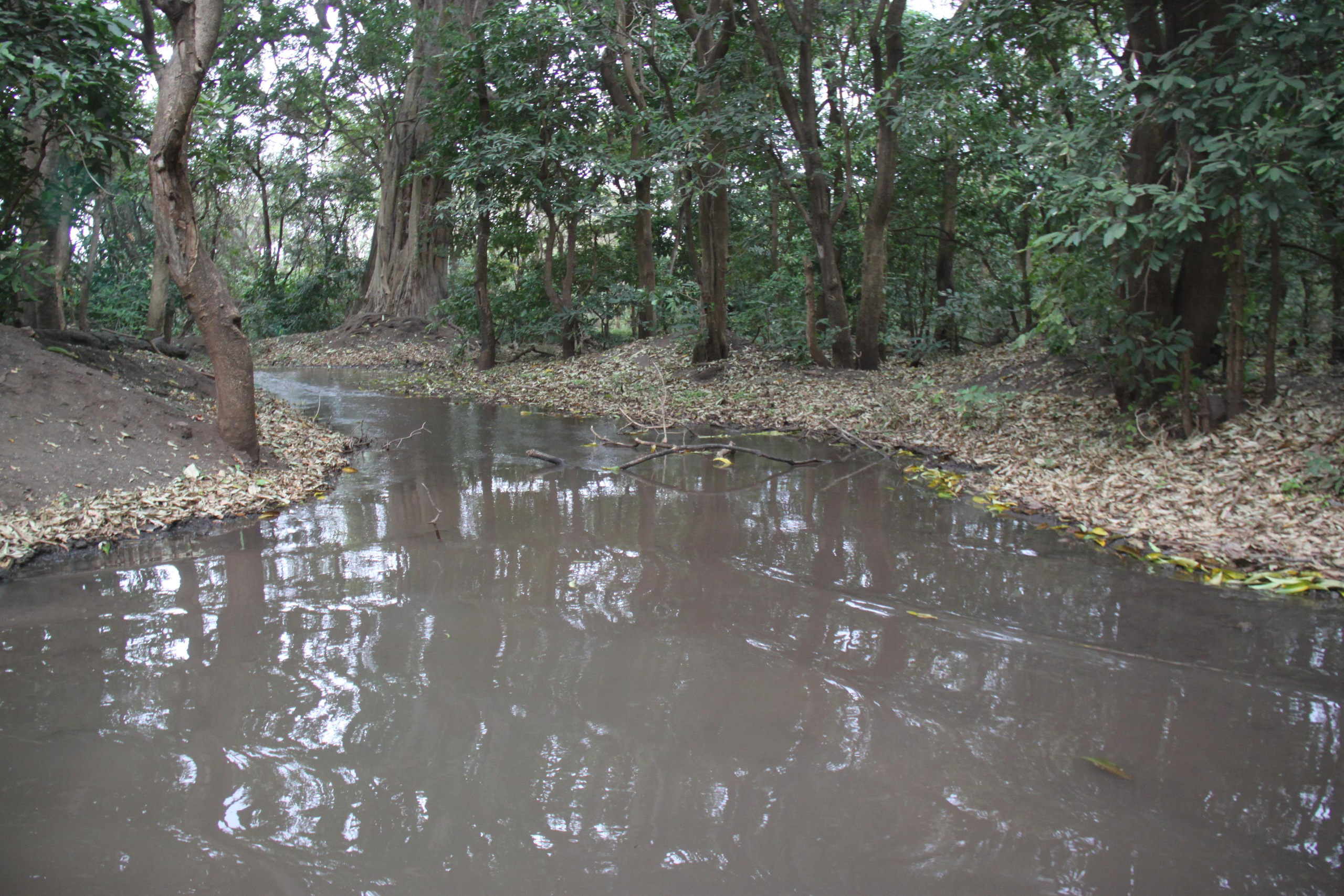 Lake Manyara National Park. Andrey Filippov Photographer