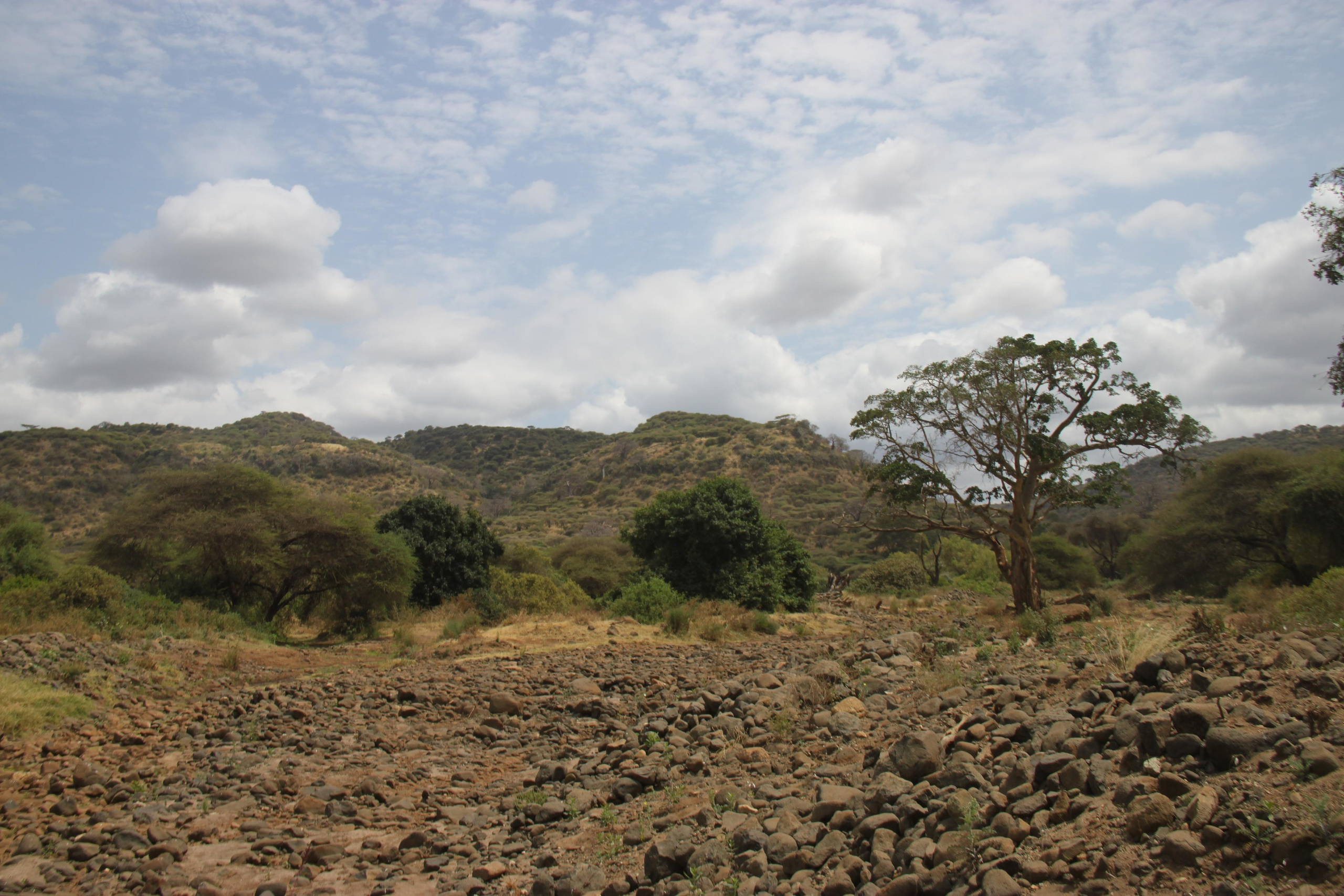 Lake Manyara National Park. Andrey Filippov Photographer