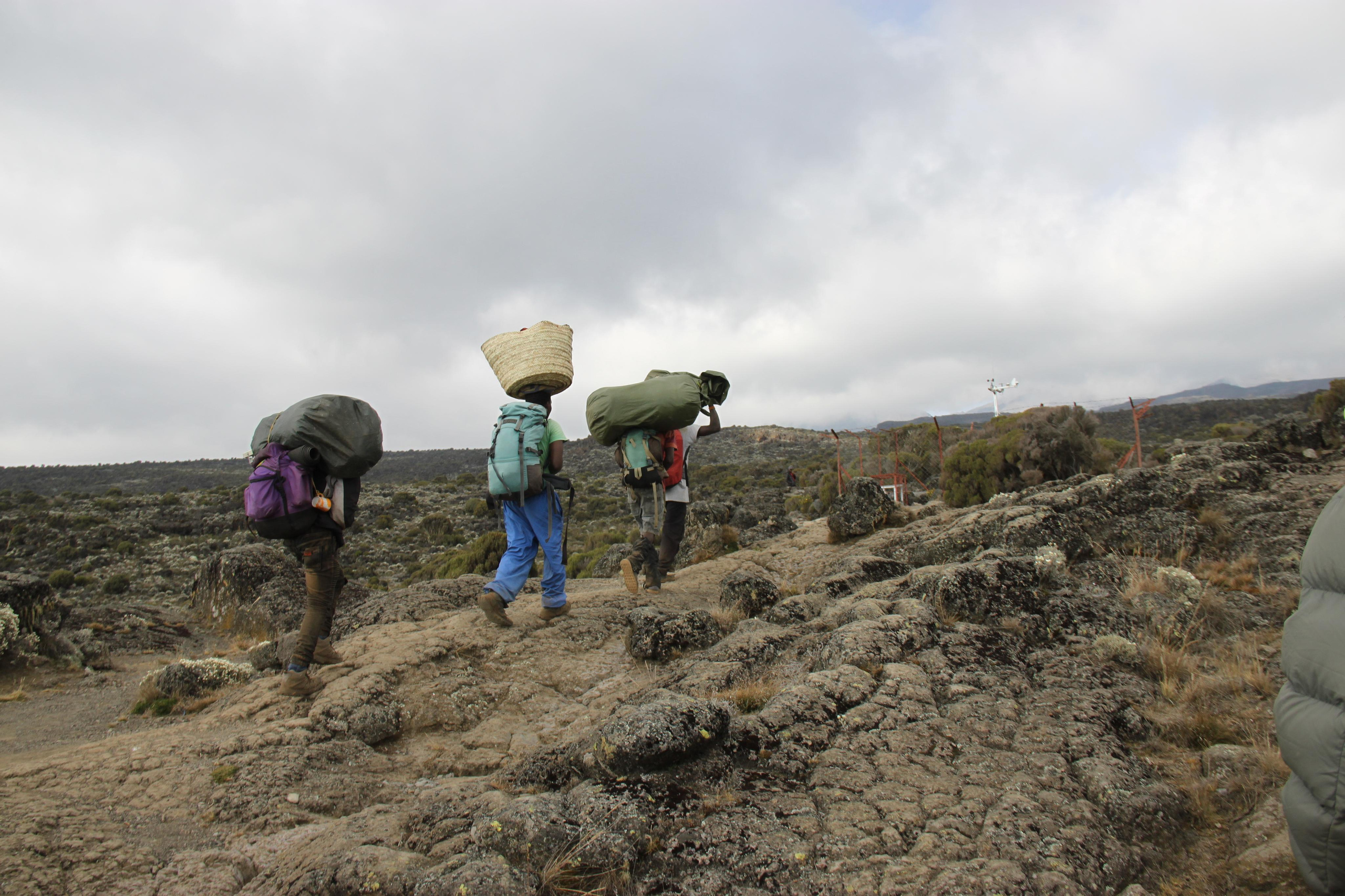 Mount Kilimanjaro. Andrey Filippov Photographer