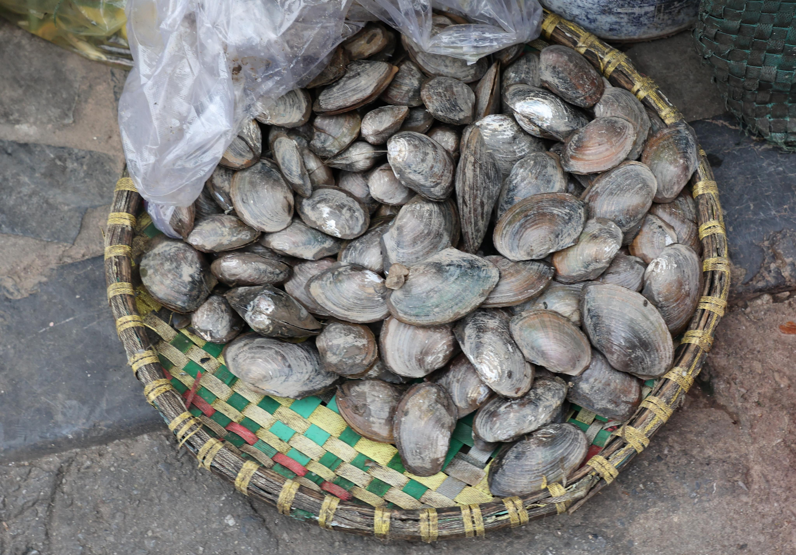 Hanoi, Vietnam. Andrey Filippov Photographer