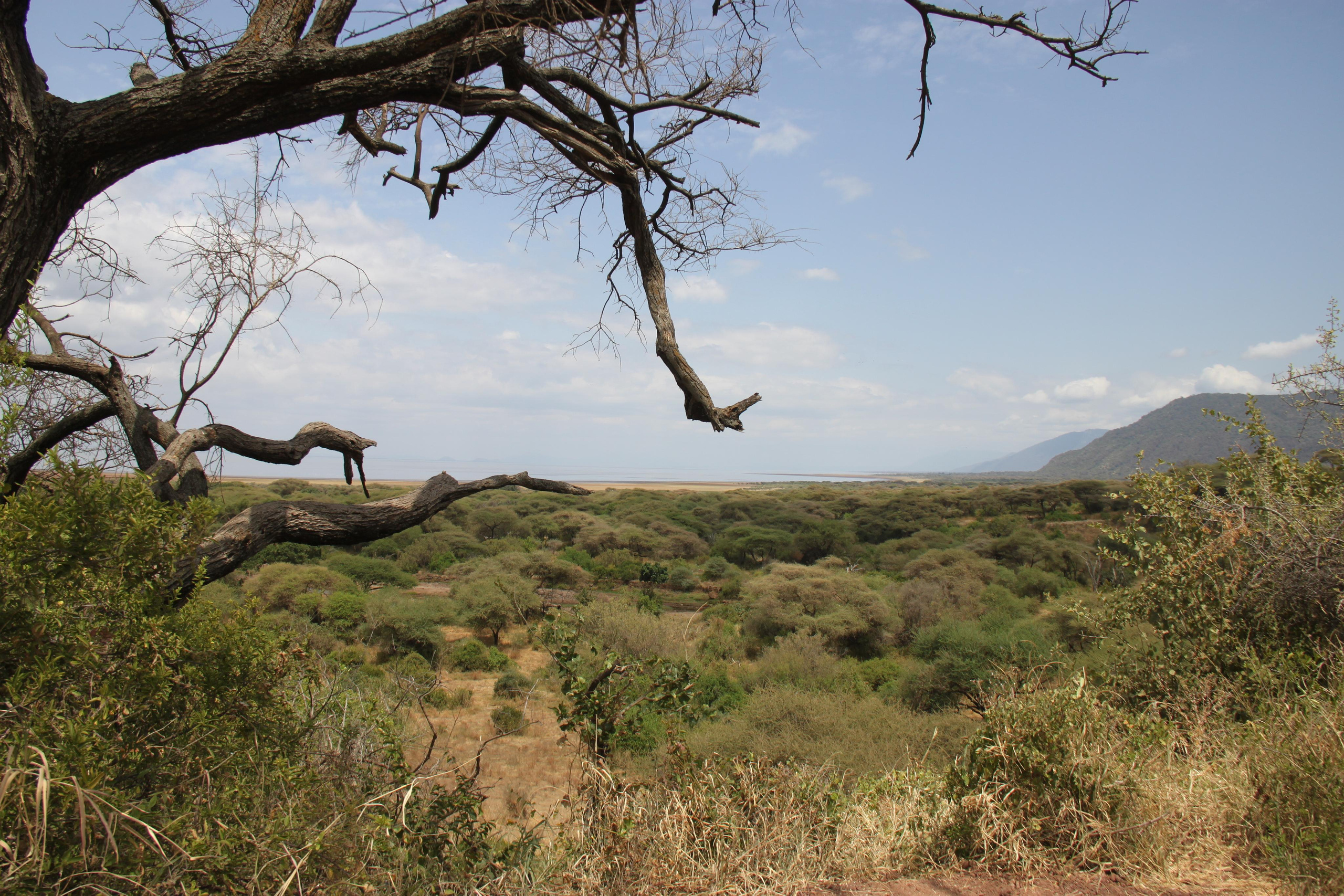 Lake Manyara National Park. Andrey Filippov Photographer