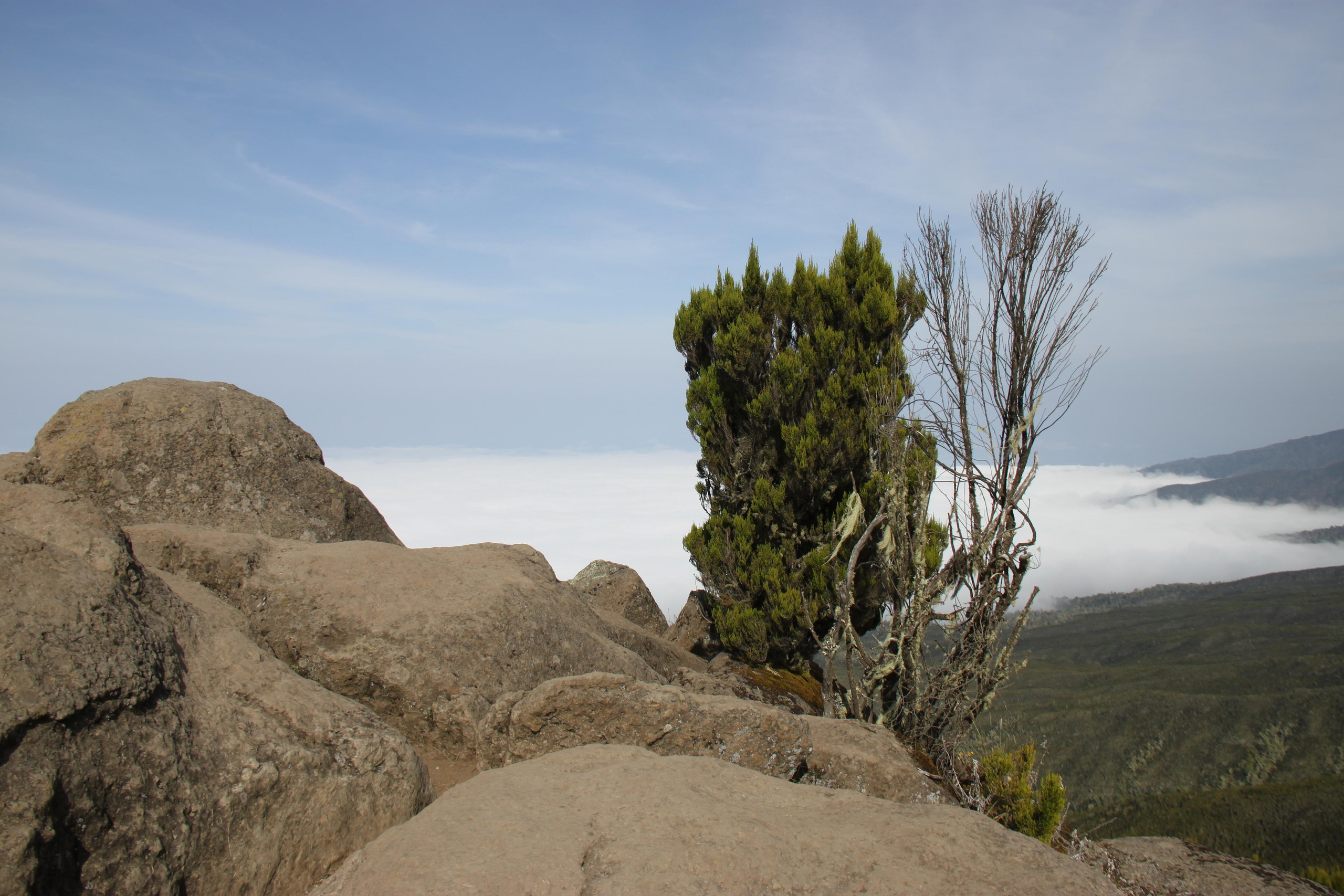 Mount Kilimanjaro. Andrey Filippov Photographer