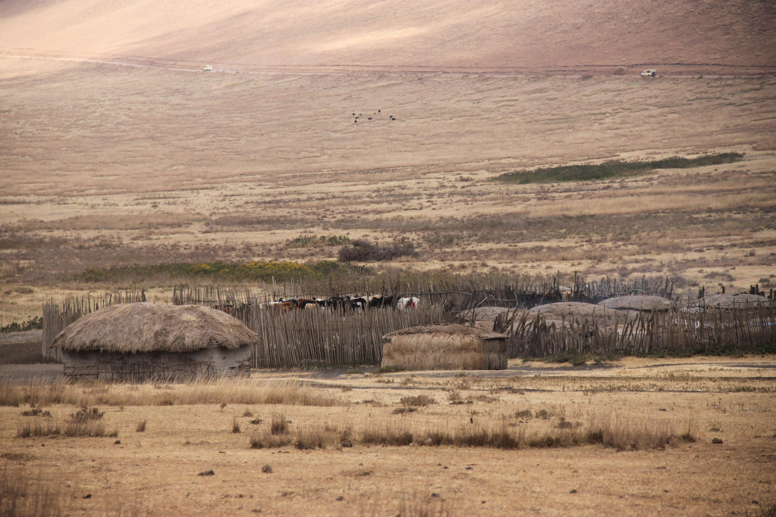 Maasai People, Tanzania. Andrey Filippov Photographer