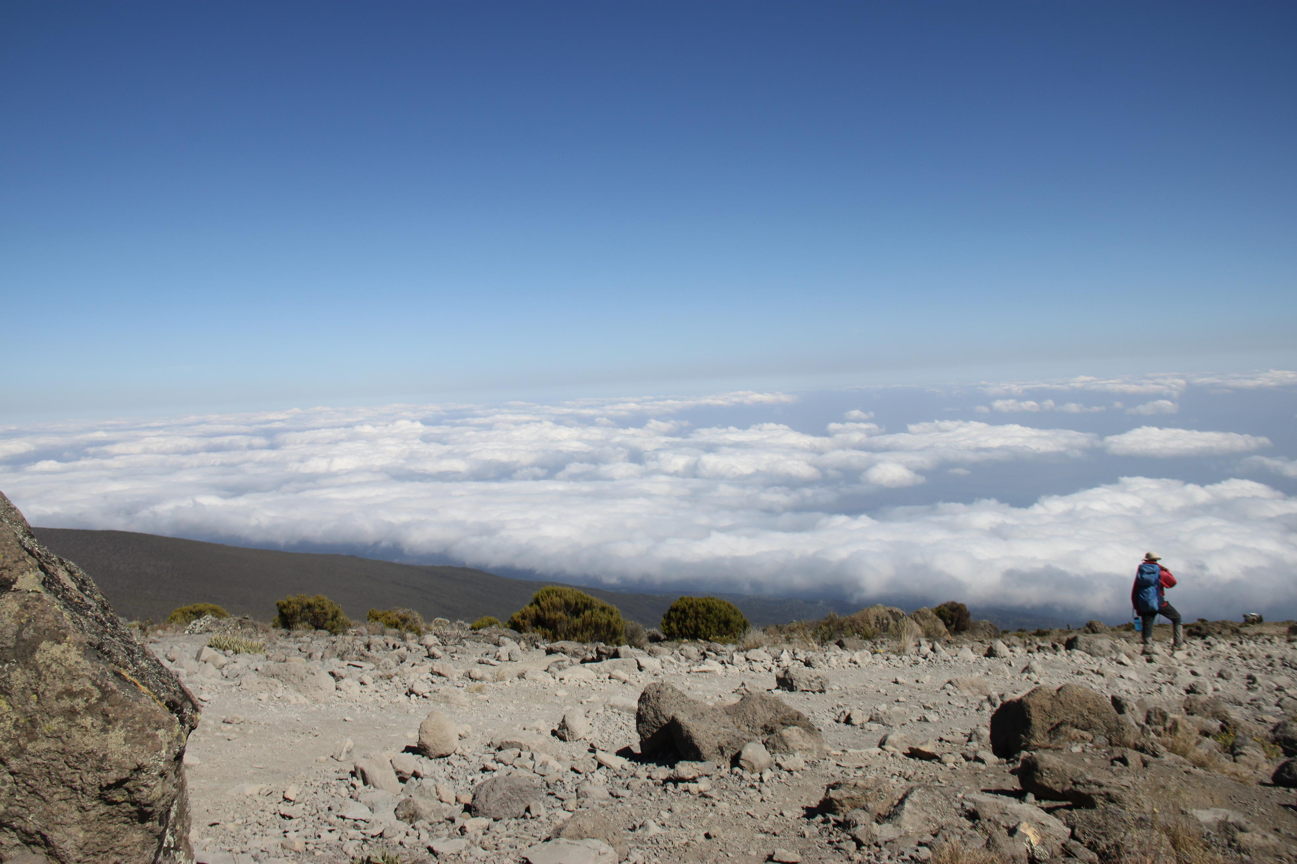 Mount Kilimanjaro. Andrey Filippov Photographer