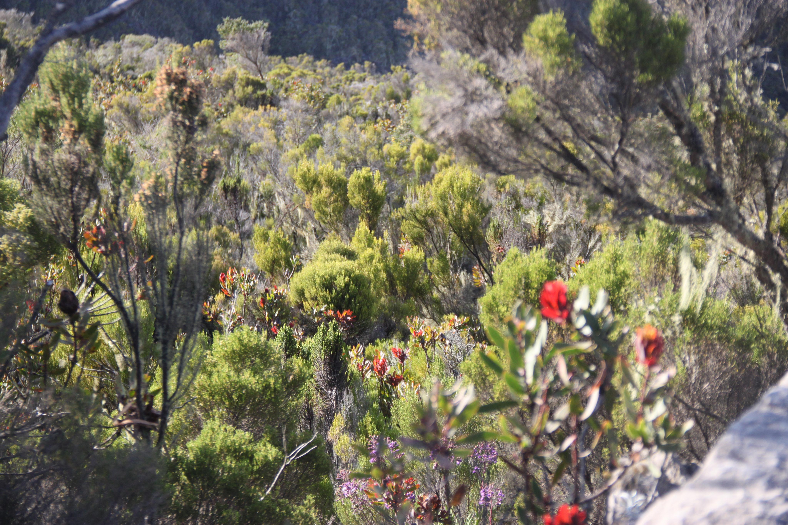 Mount Kilimanjaro. Andrey Filippov Photographer