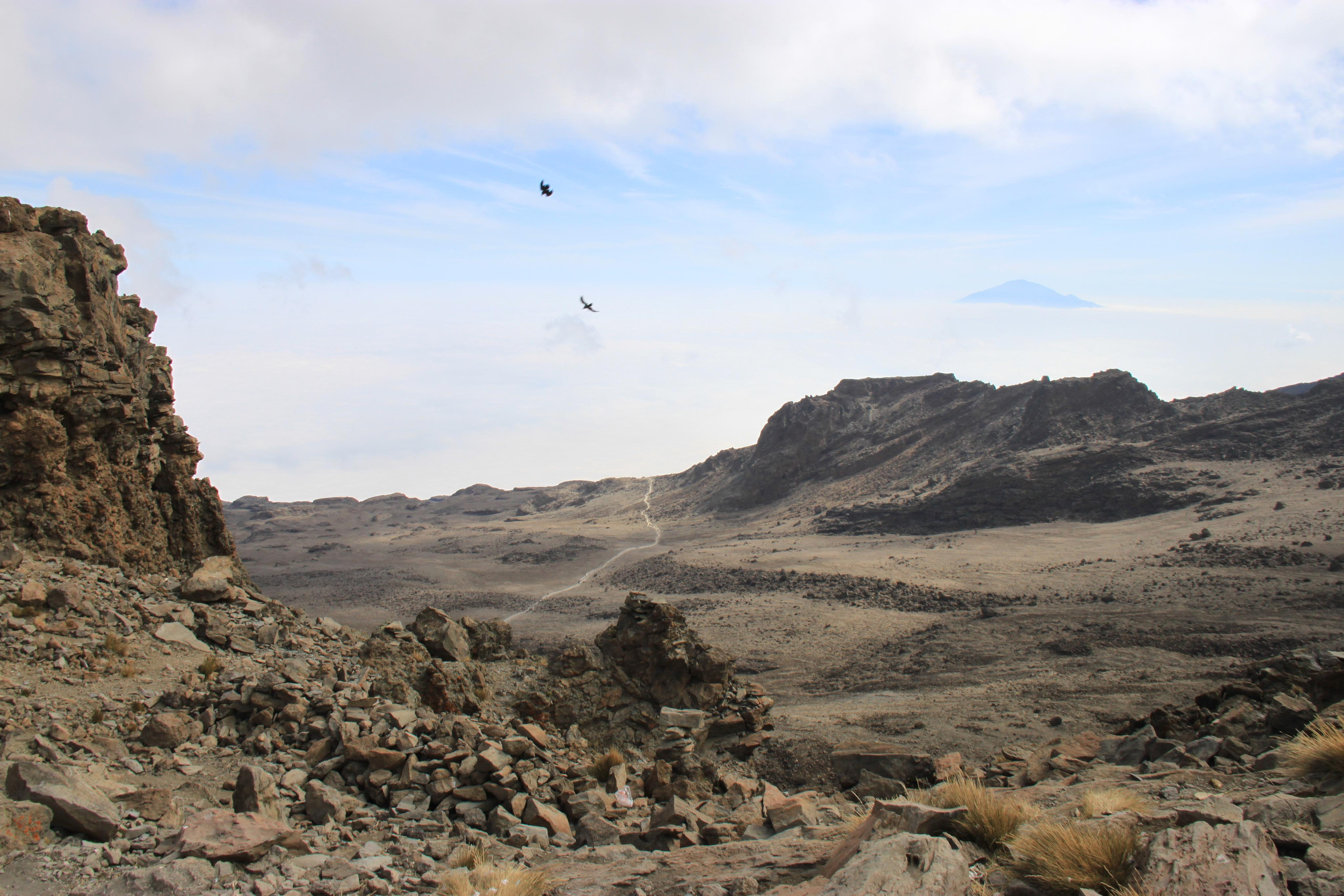 Mount Kilimanjaro. Andrey Filippov Photographer
