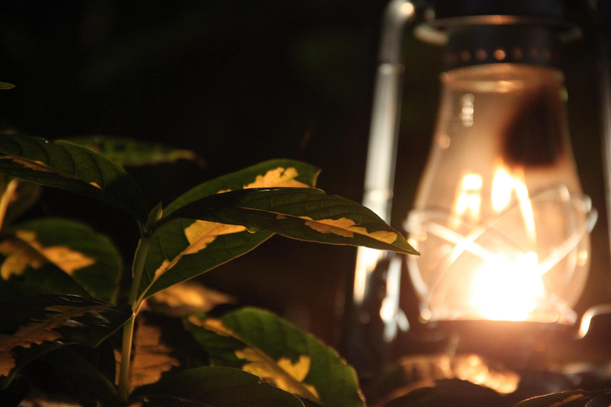 Mount Kilimanjaro. Andrey Filippov Photographer