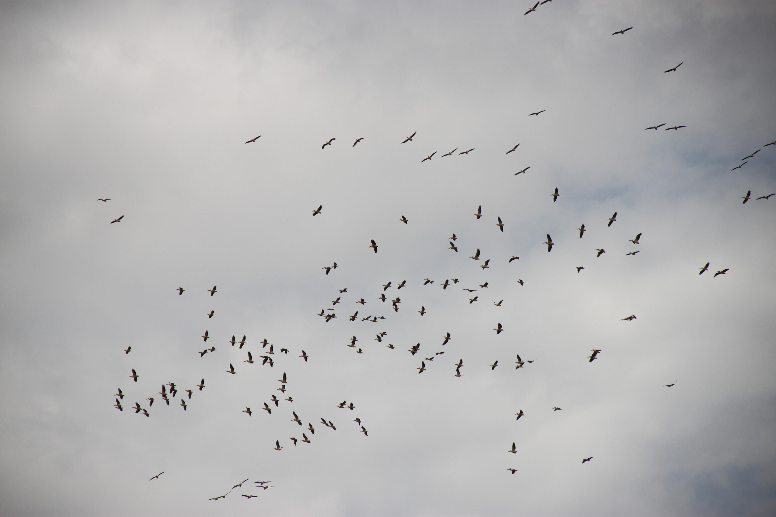 Lake Manyara National Park. Andrey Filippov Photographer