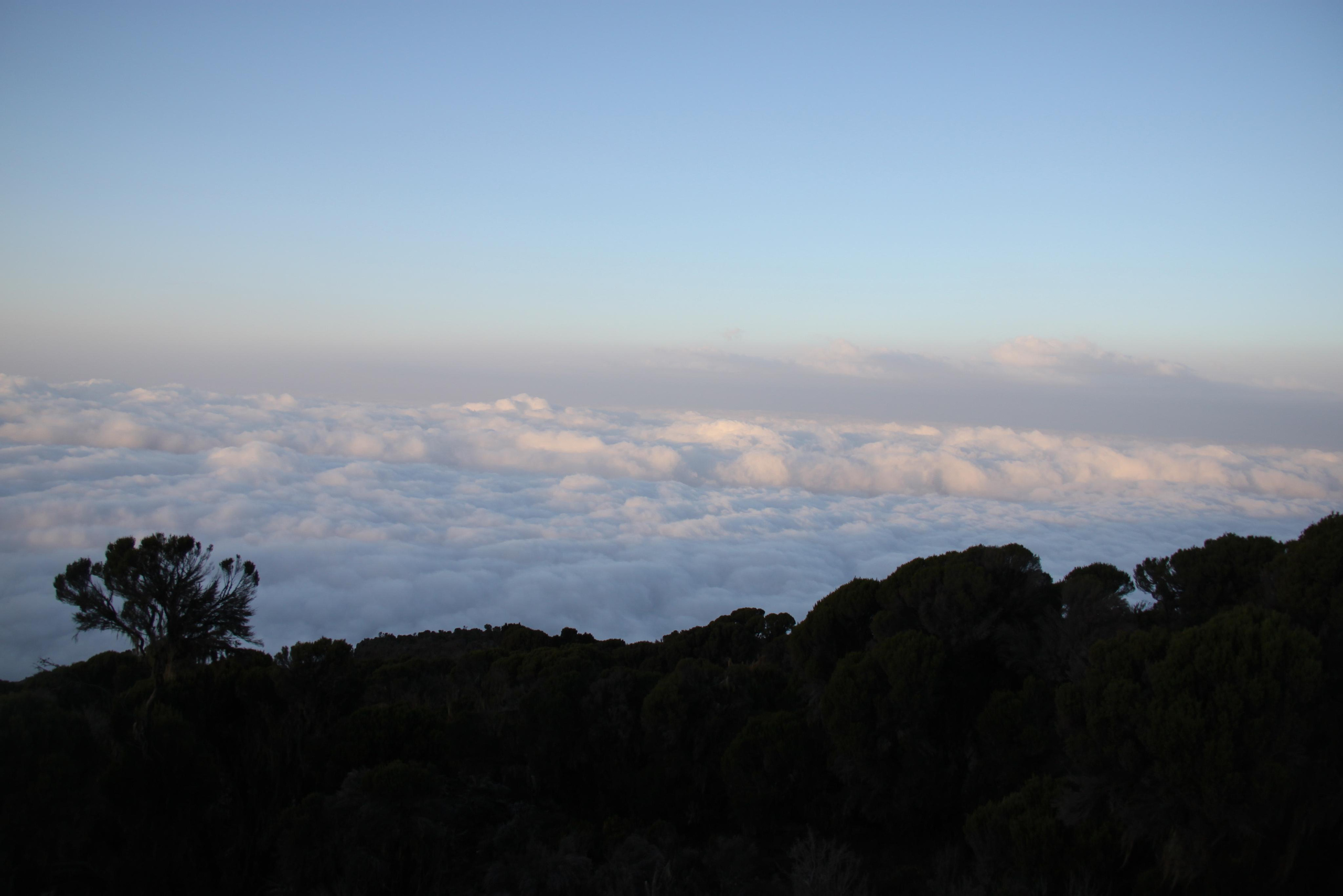 Mount Kilimanjaro. Andrey Filippov Photographer