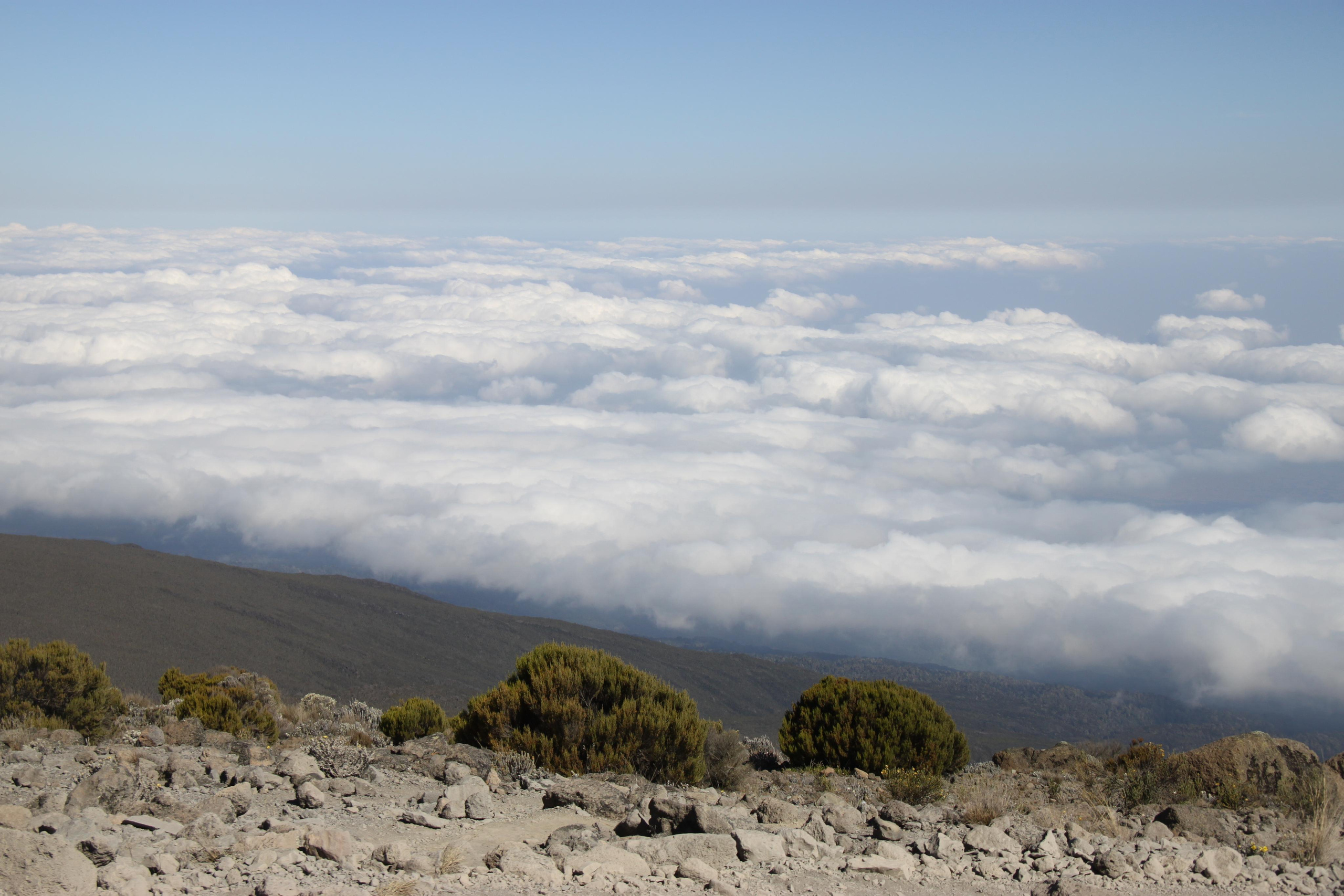 Mount Kilimanjaro. Andrey Filippov Photographer